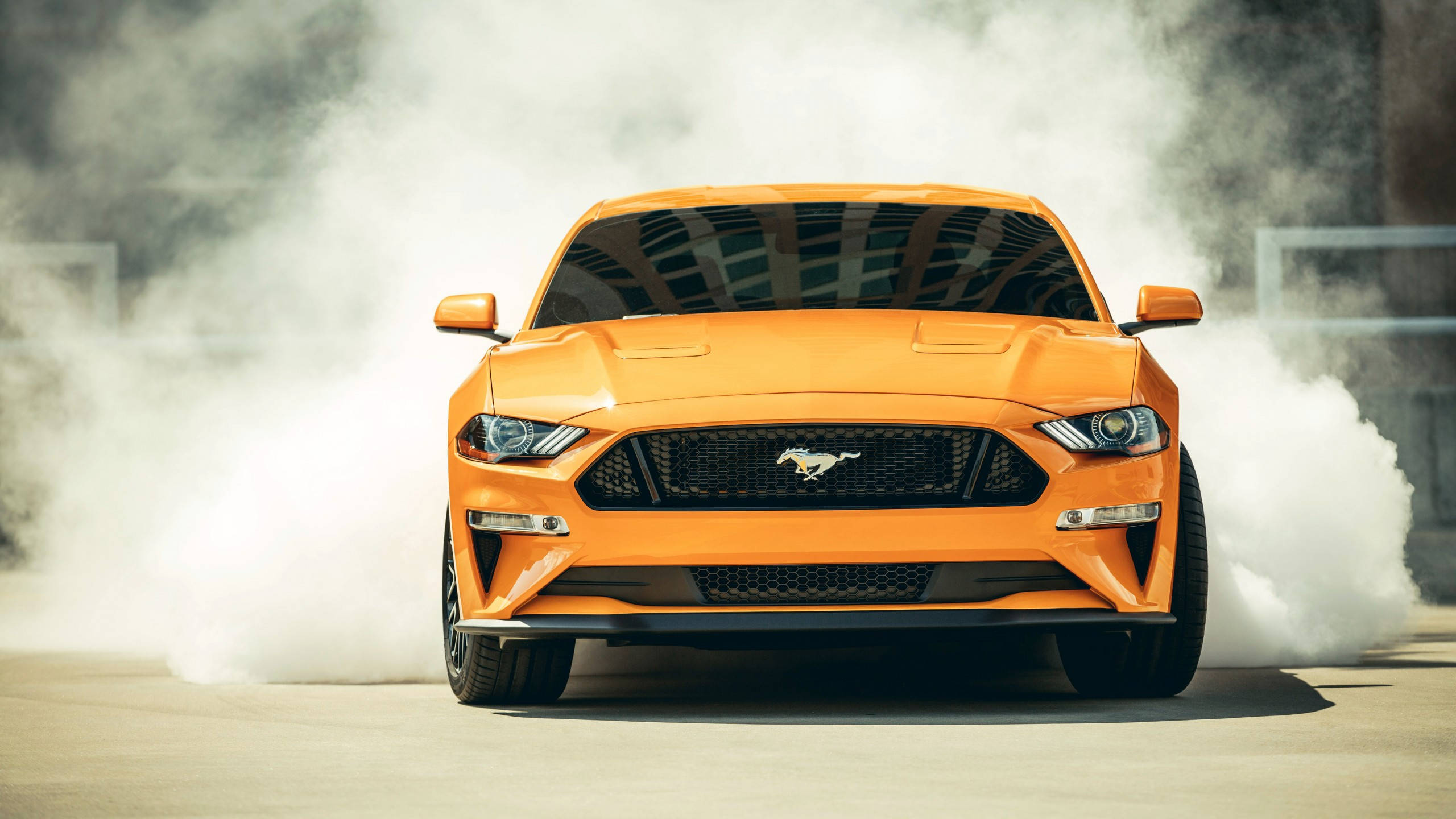 2560x1440 Car Yellow 2019 Ford Mustang Background