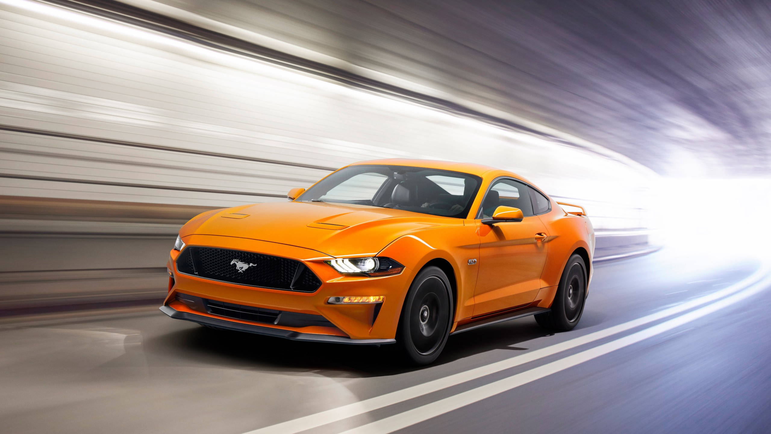 2560x1440 Car Yellow 2019 Ford Mustang Background