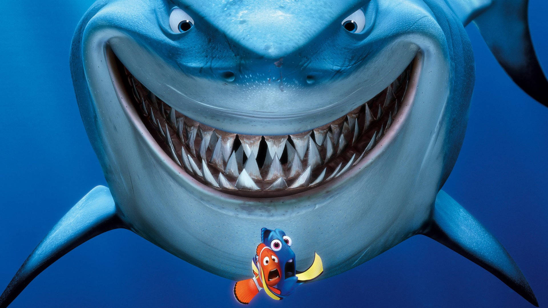 2560x1440 Disney Marlin And Dory Frightened Background