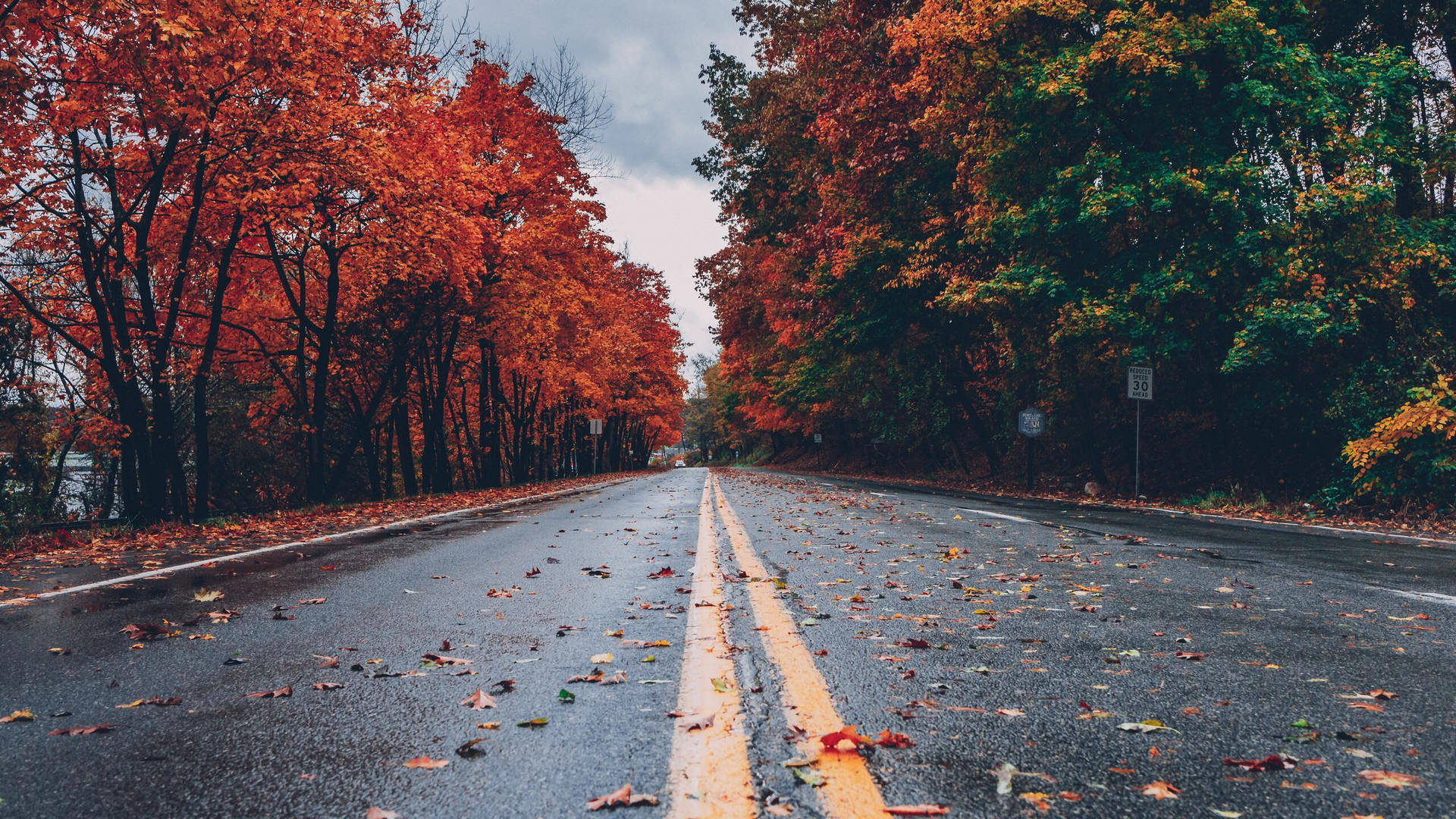 2560x1440 Fall Empty Road Background