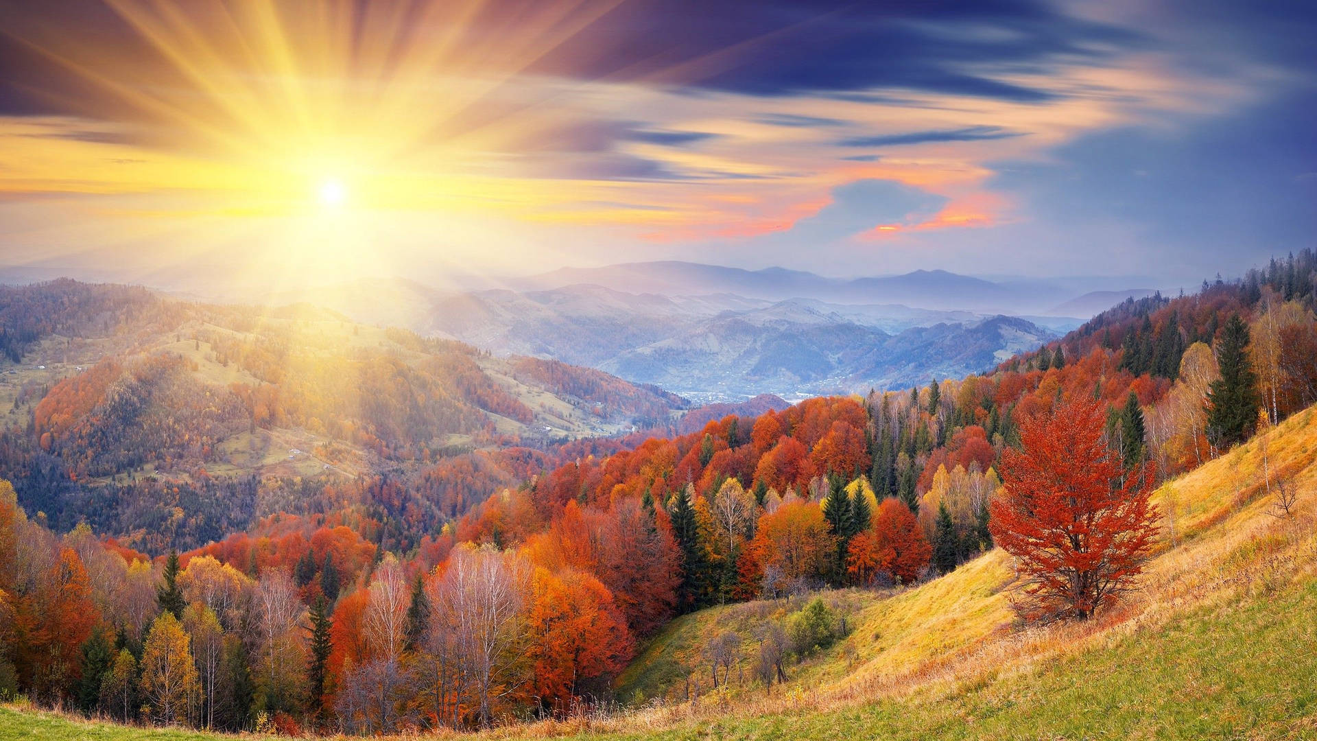 2560x1440 Fall Sunrise On Landscape Background