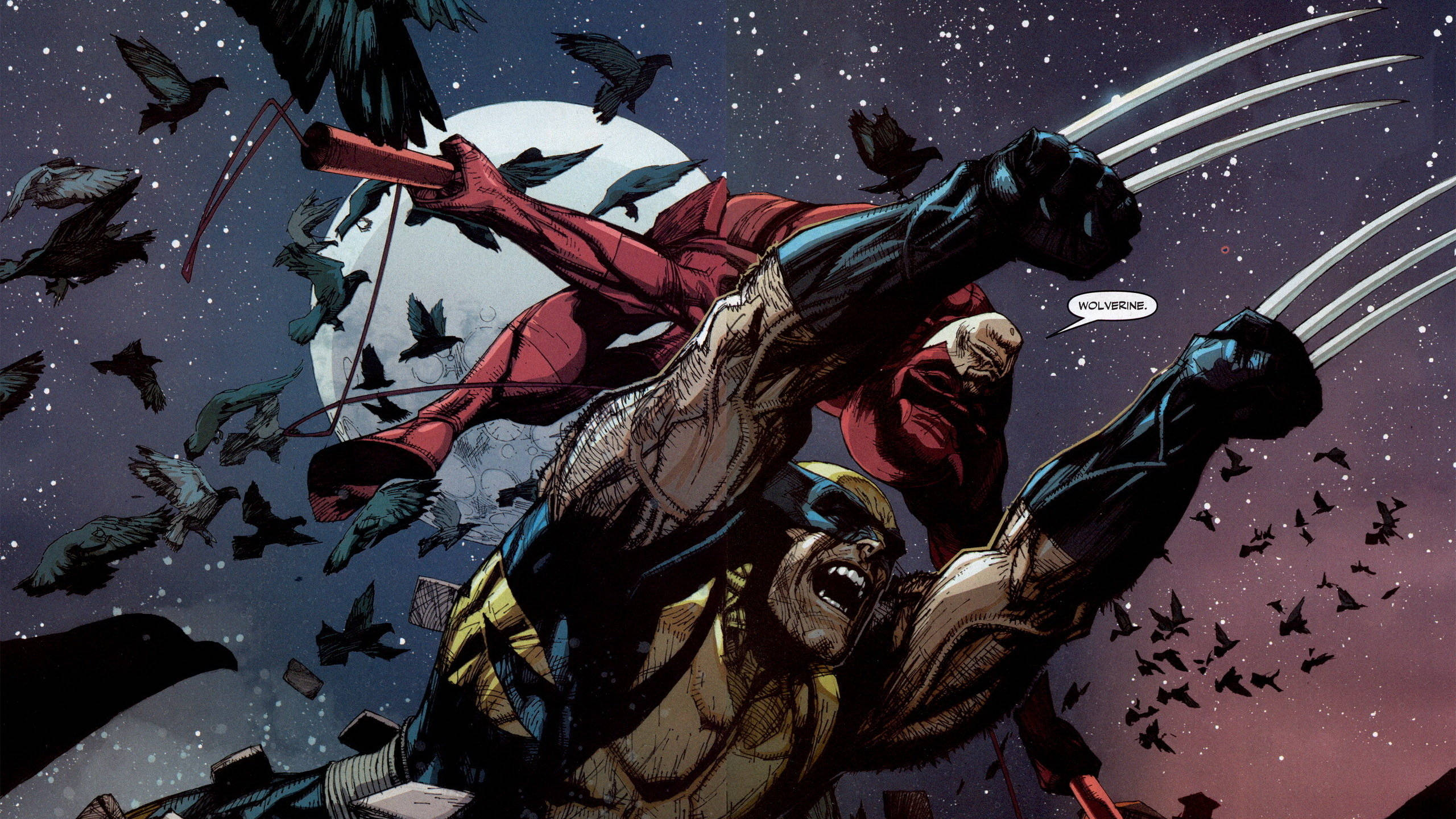 2560x1440 Marvel Daredevil Wolverine