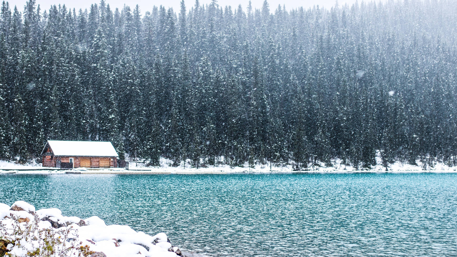 2560x1440 Nature Banff National Park Background