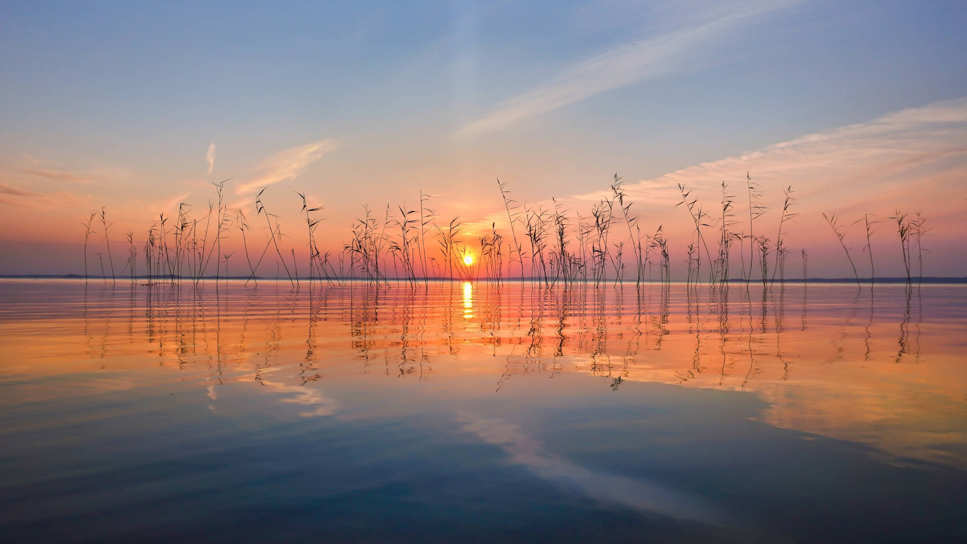 2560x1440 Nature Lake Finland Background