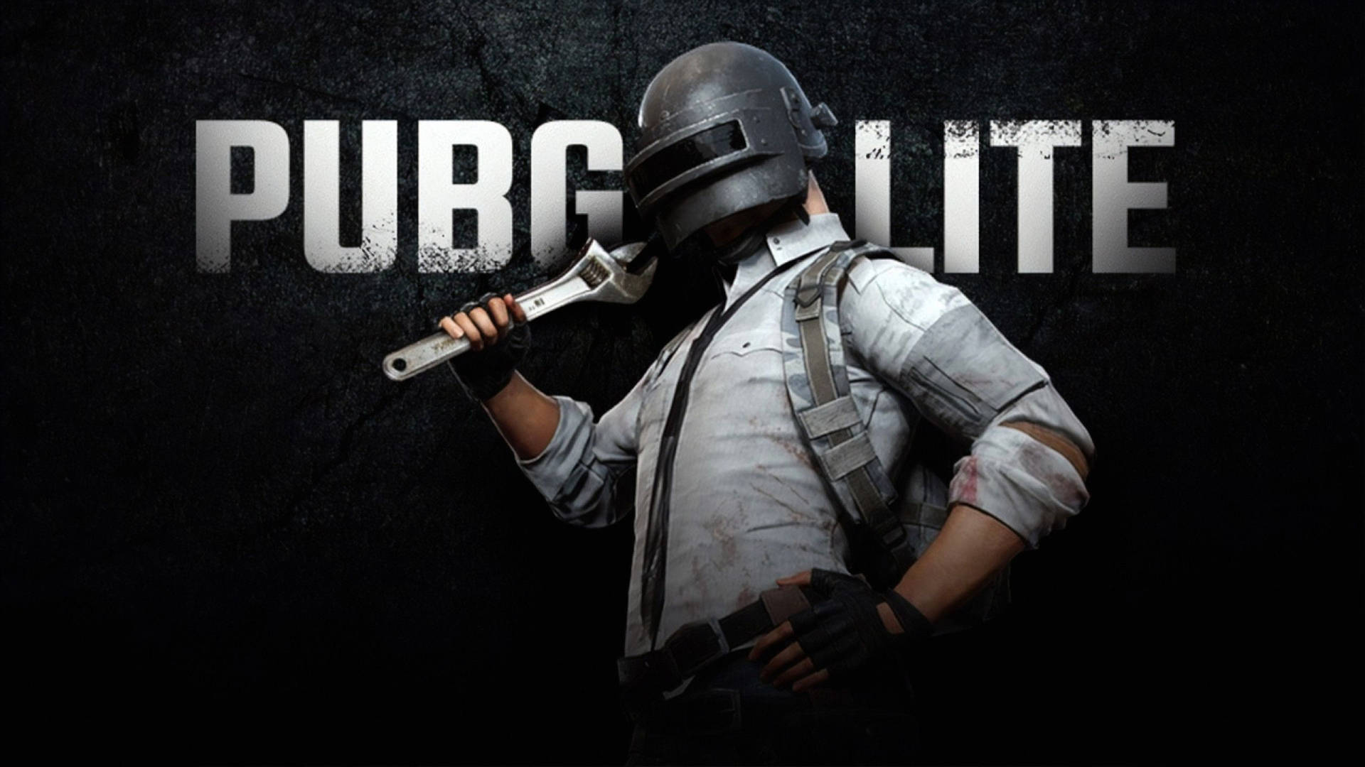 2560x1440 Pubg Lite Logo Background