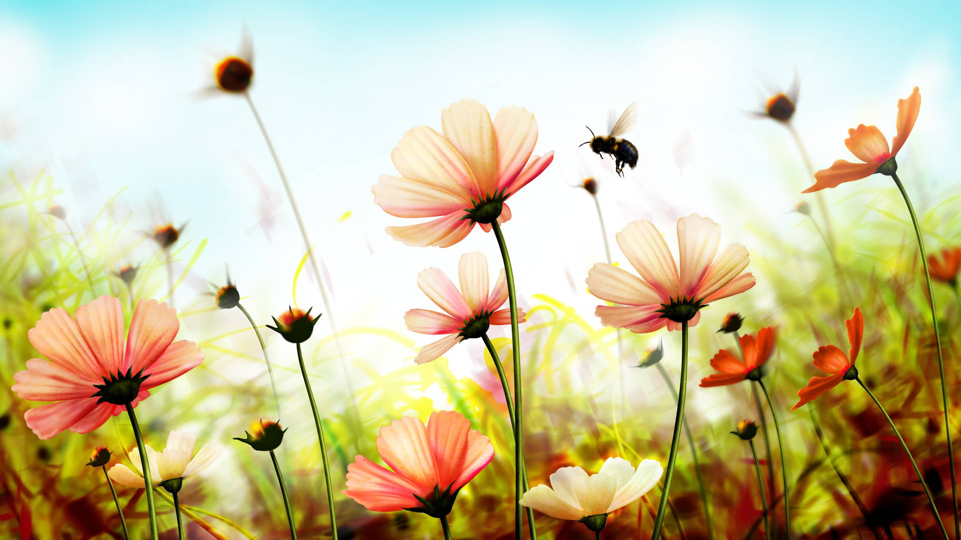 2560x1440 Spring Bee Pink Flowers Background