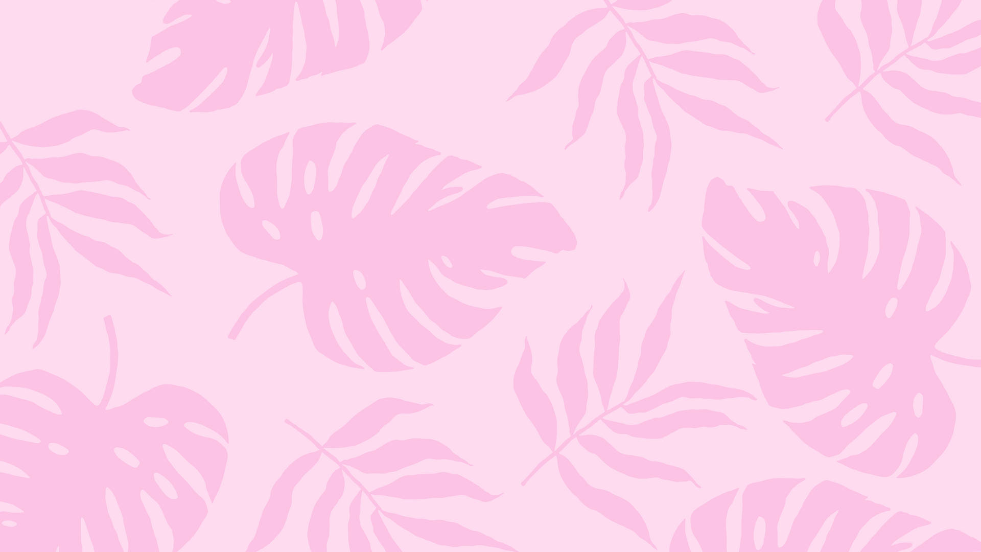 2560x1440 Summer Plants Pink Aesthetic Background