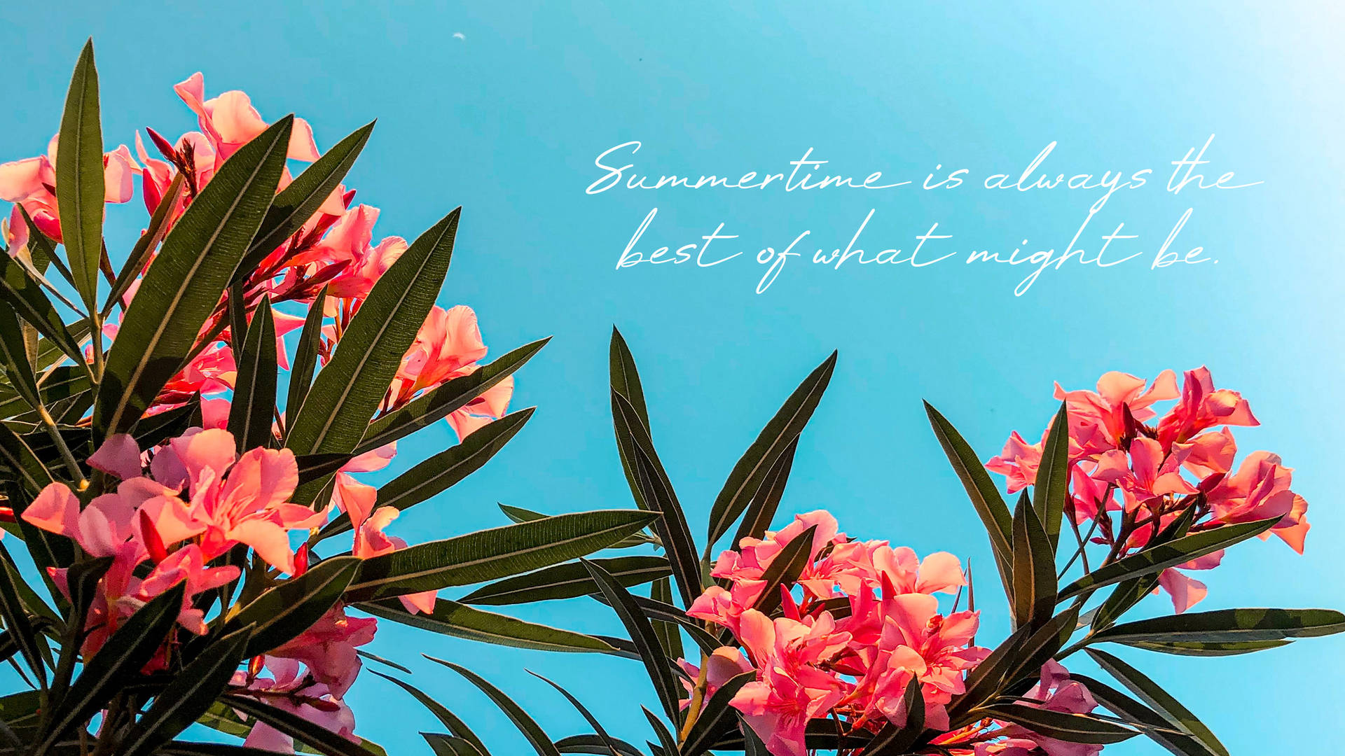 2560x1440 Summer Quote With Flowers Background