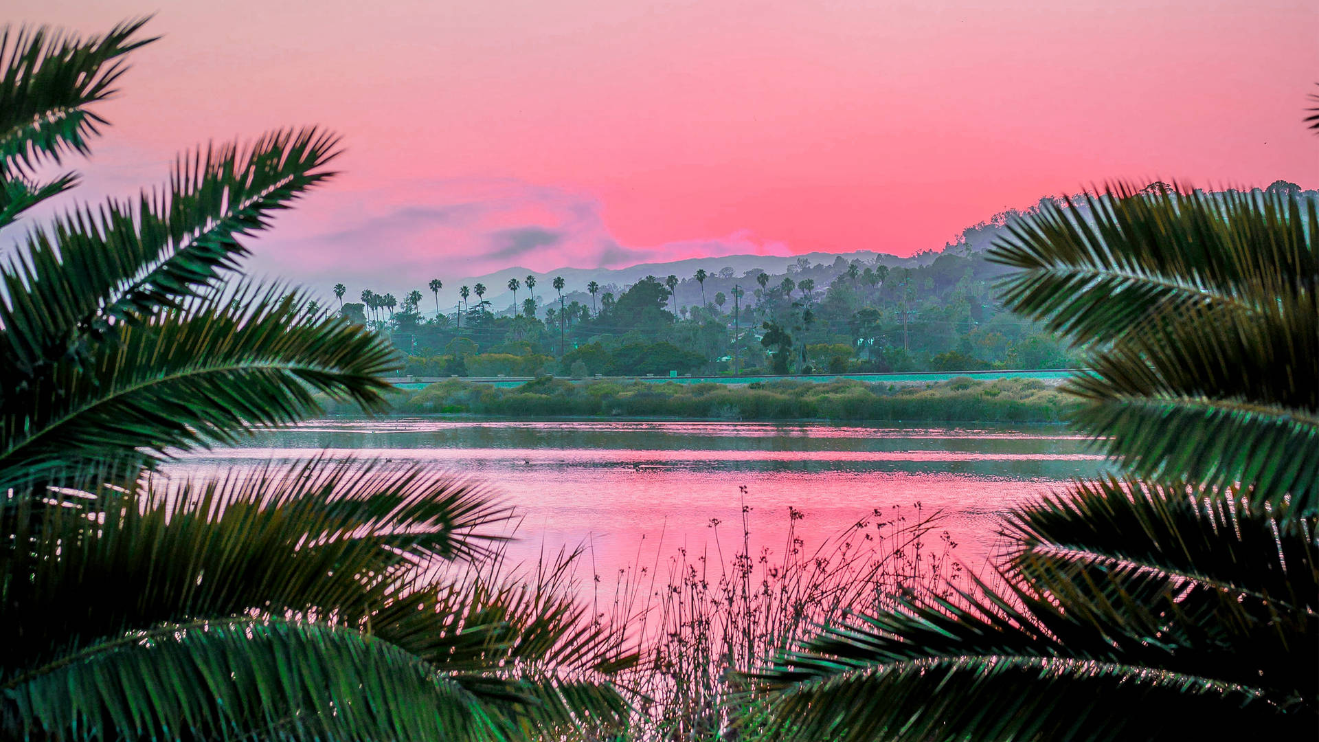 2560x1440 Summer Scenery Pink Aesthetic Background