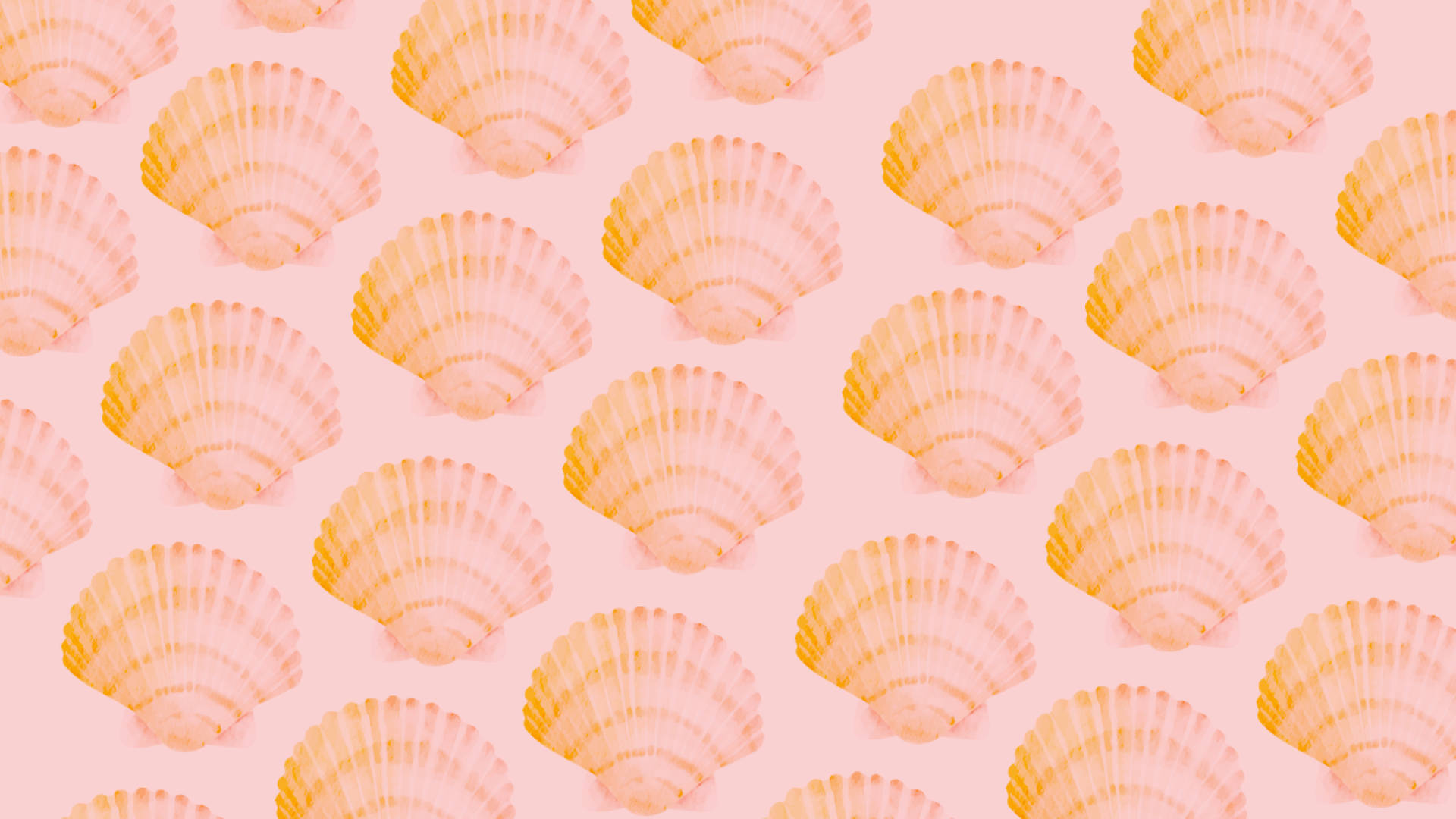 2560x1440 Summer Seashell Pattern Background