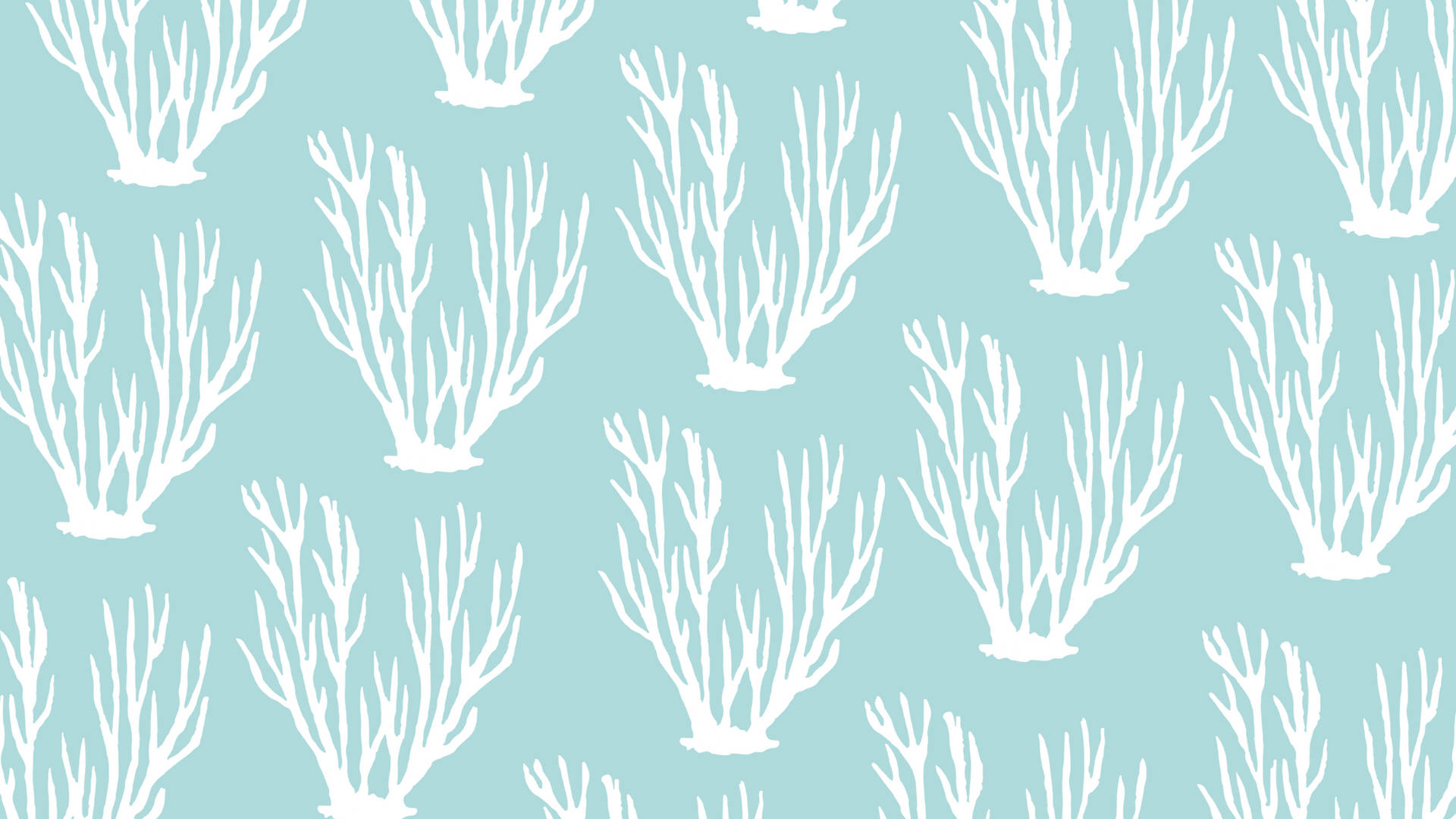 2560x1440 Summer Seaweed Pattern Background