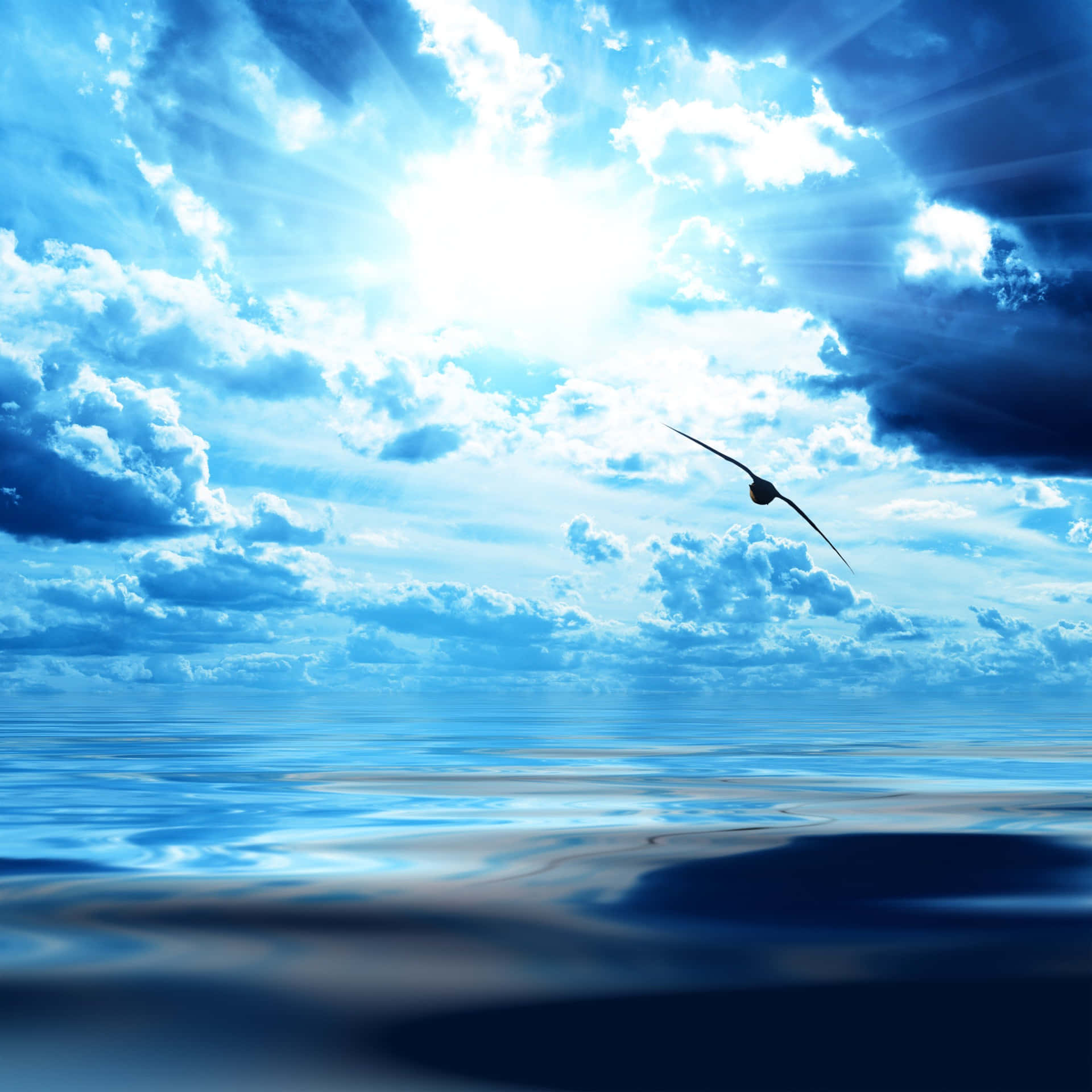 3000x3000 Blue Ocean View Background