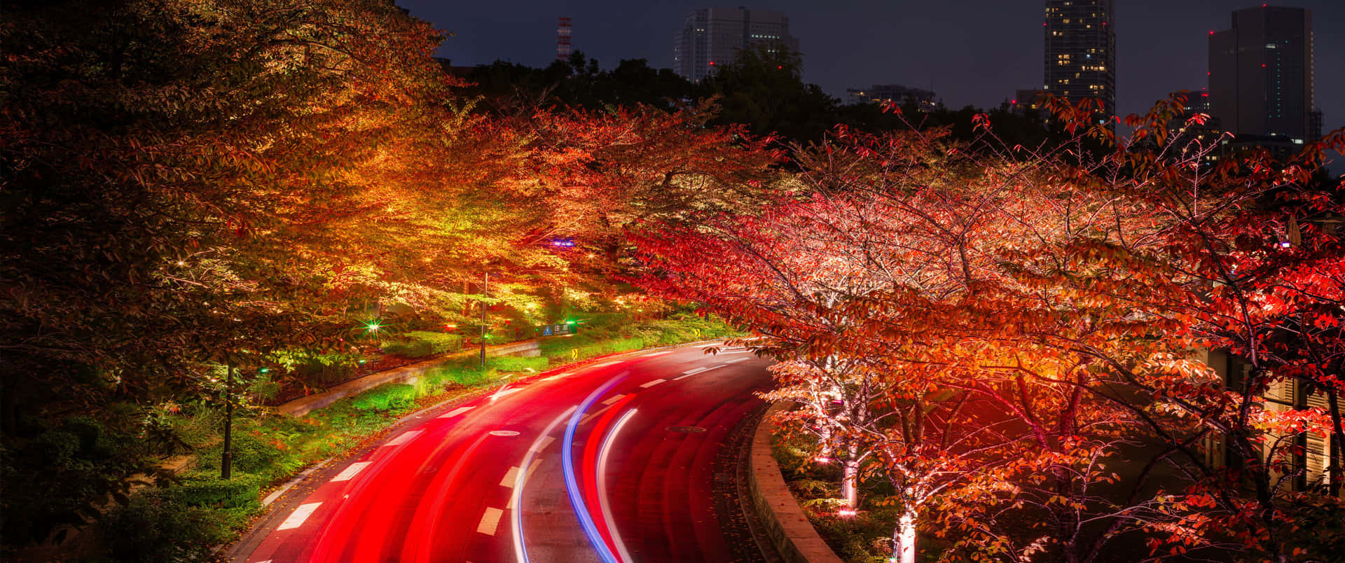 3440x1440 Fall Season Long Exposure Road Background