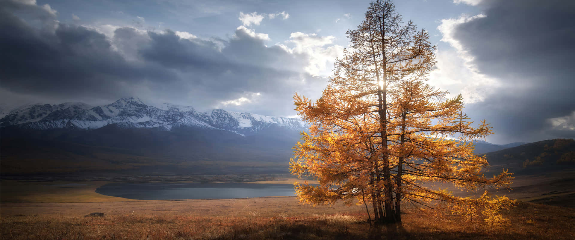 3440x1440 Fall Season With Tree In Stormy Sky Background