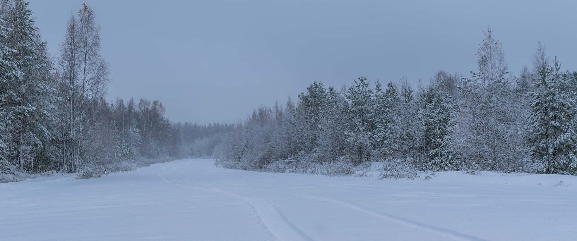 3440x1440 Winter Forest Background