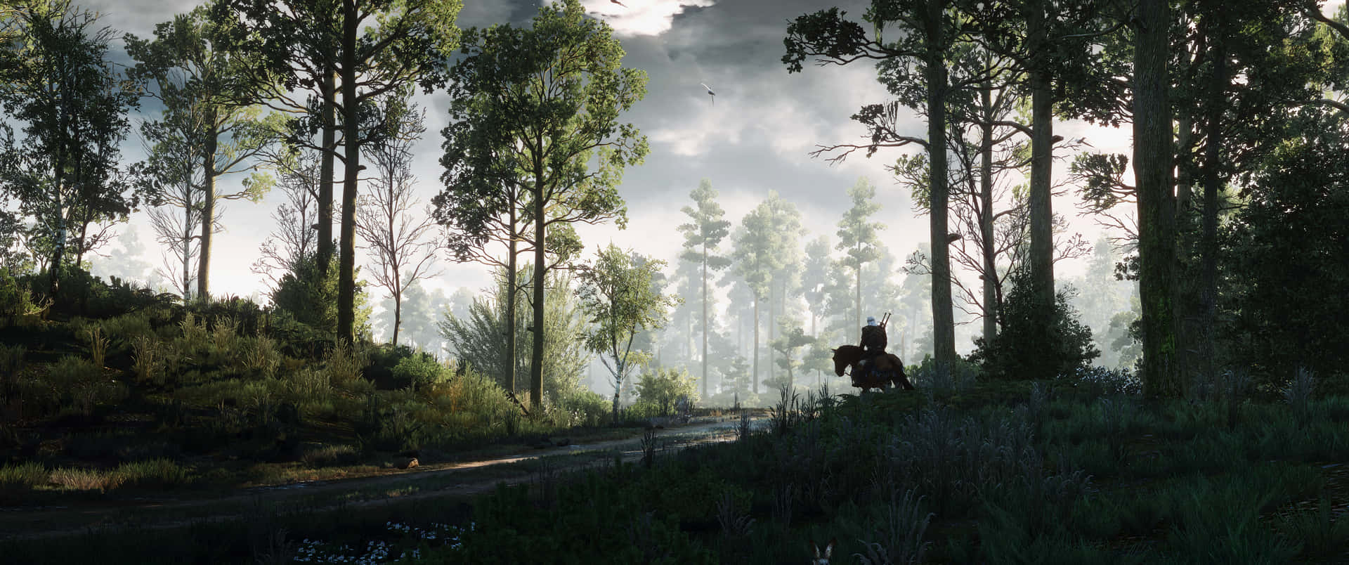 3440x1440 Witcher Geralt By The Forest Stream Background
