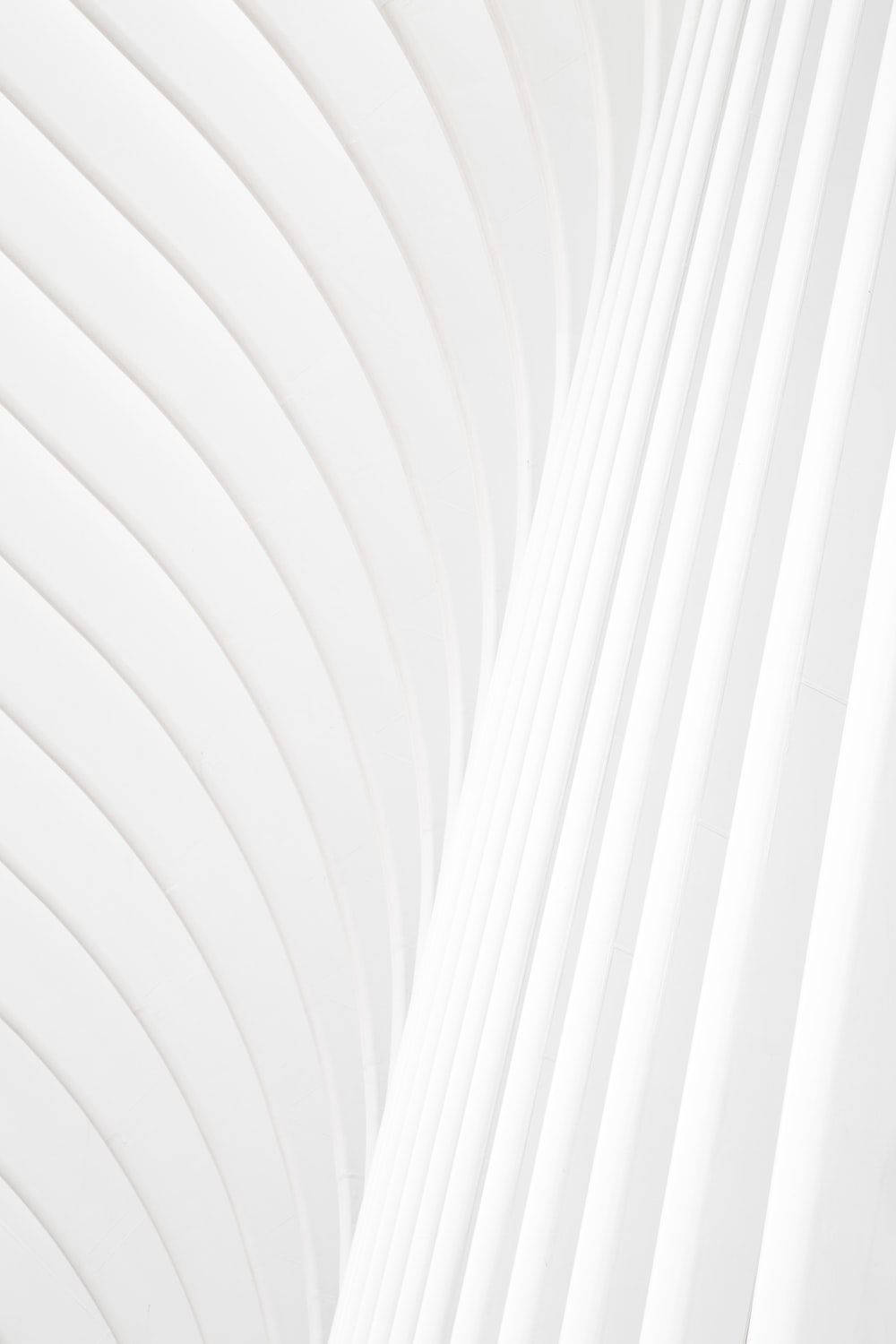 3d All White Lines Background