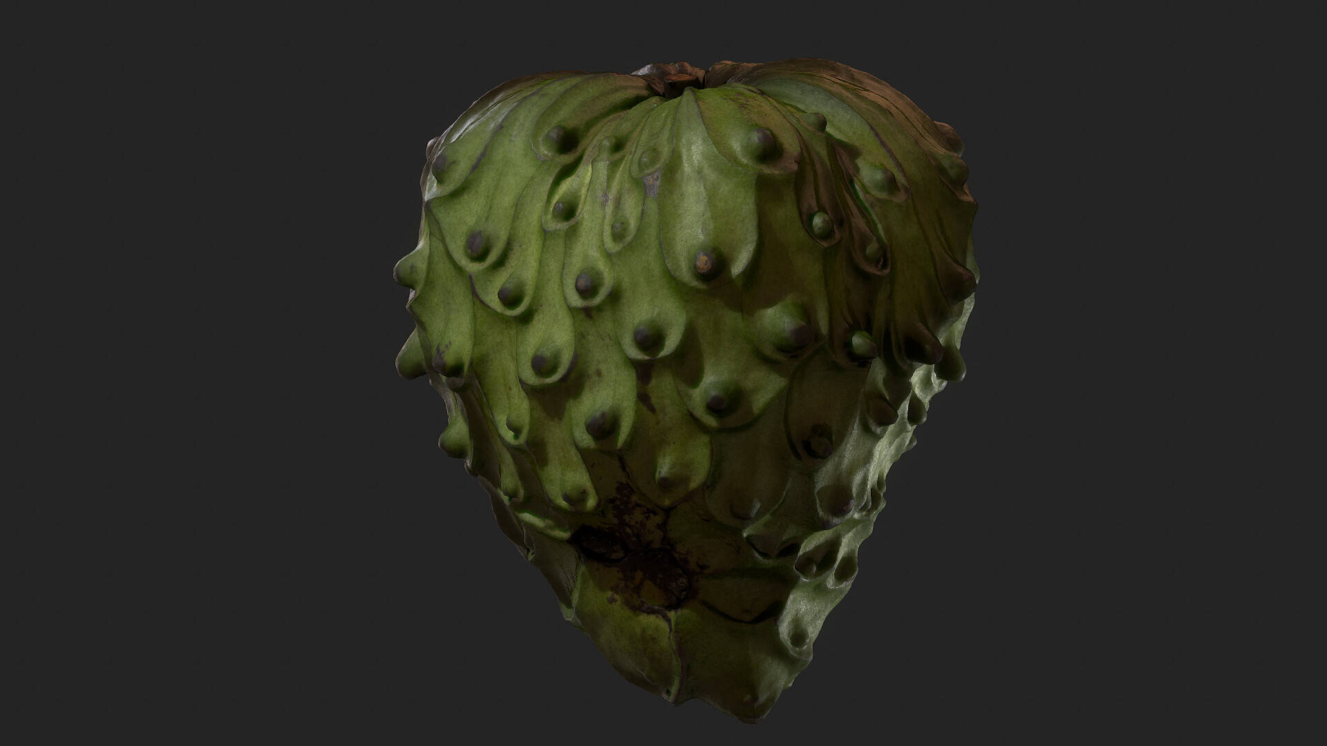 3d Animated Cherimoya Plant