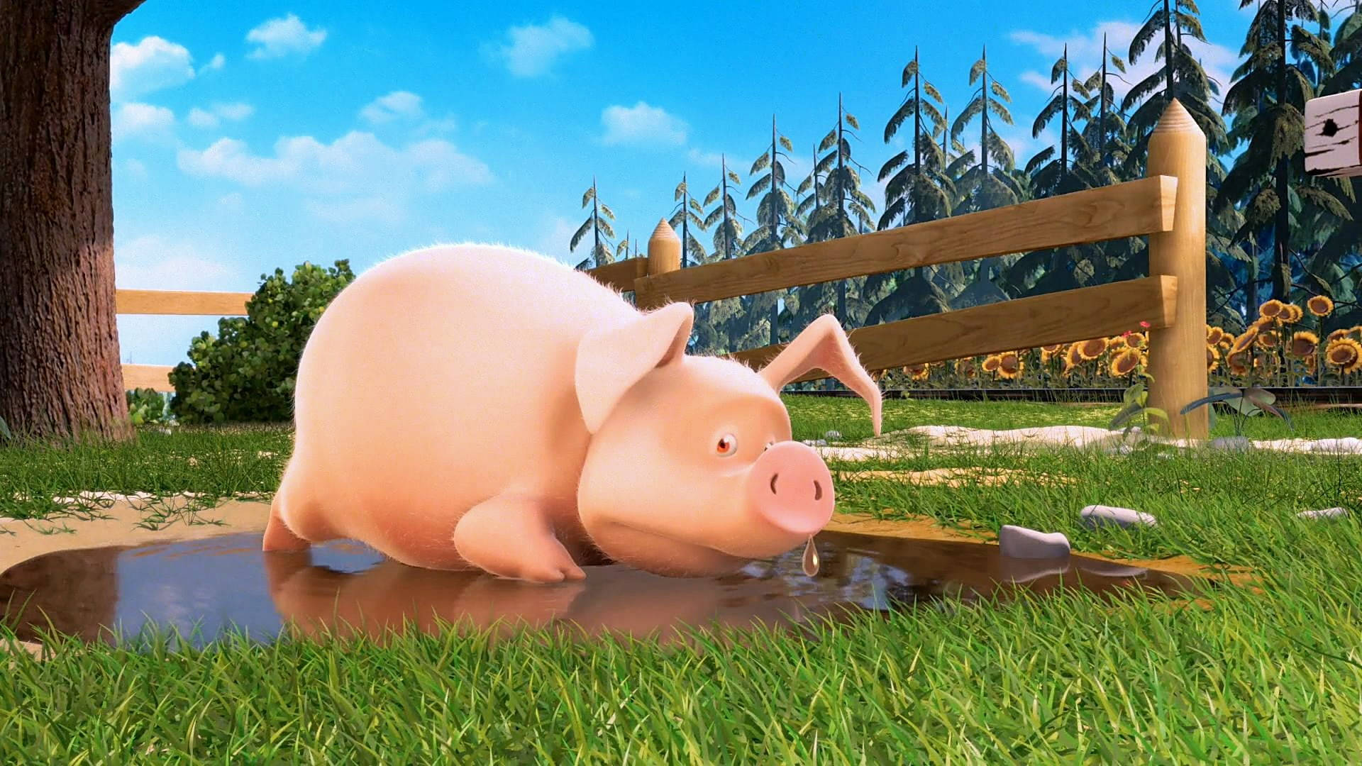 3d Animated Pig Drinking Water Background