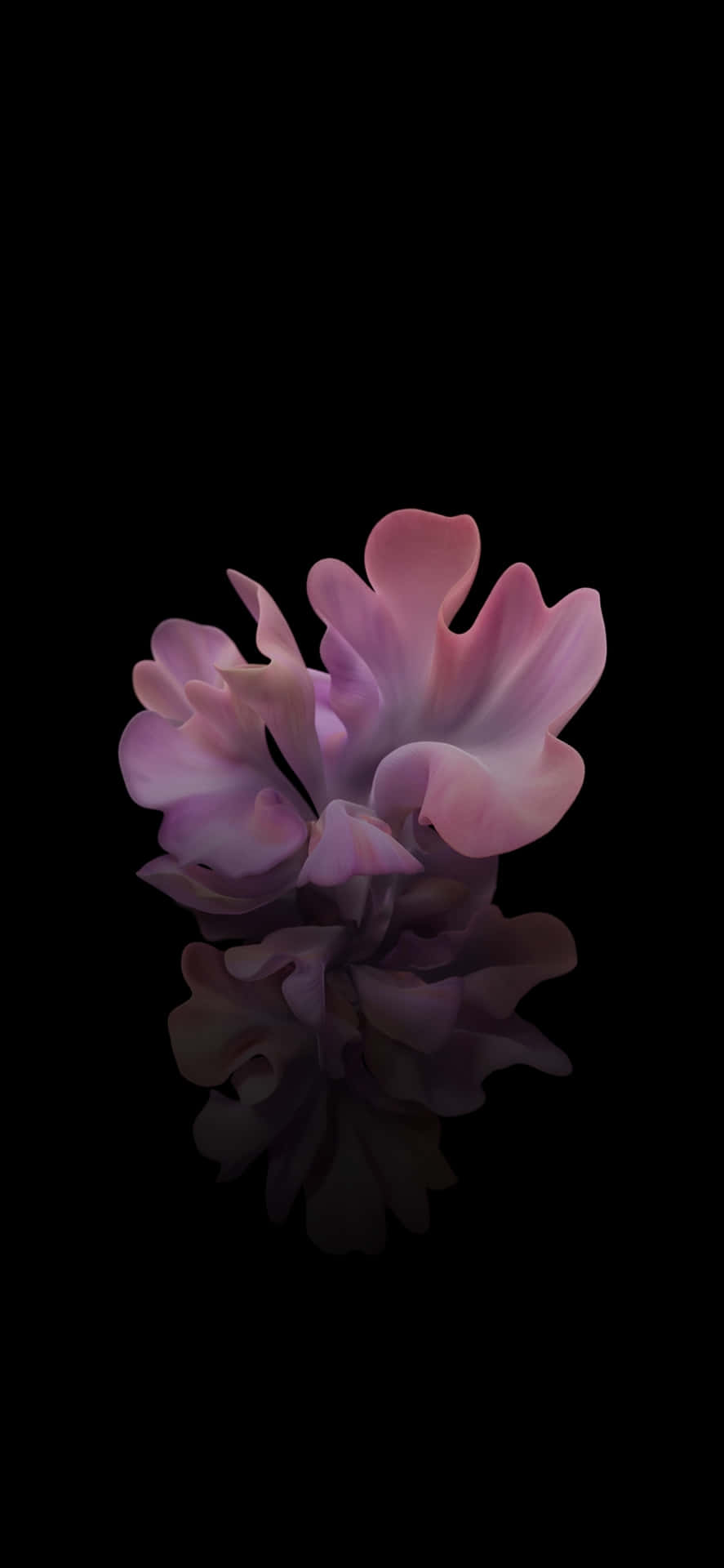 3d Black And Pink Flower Background