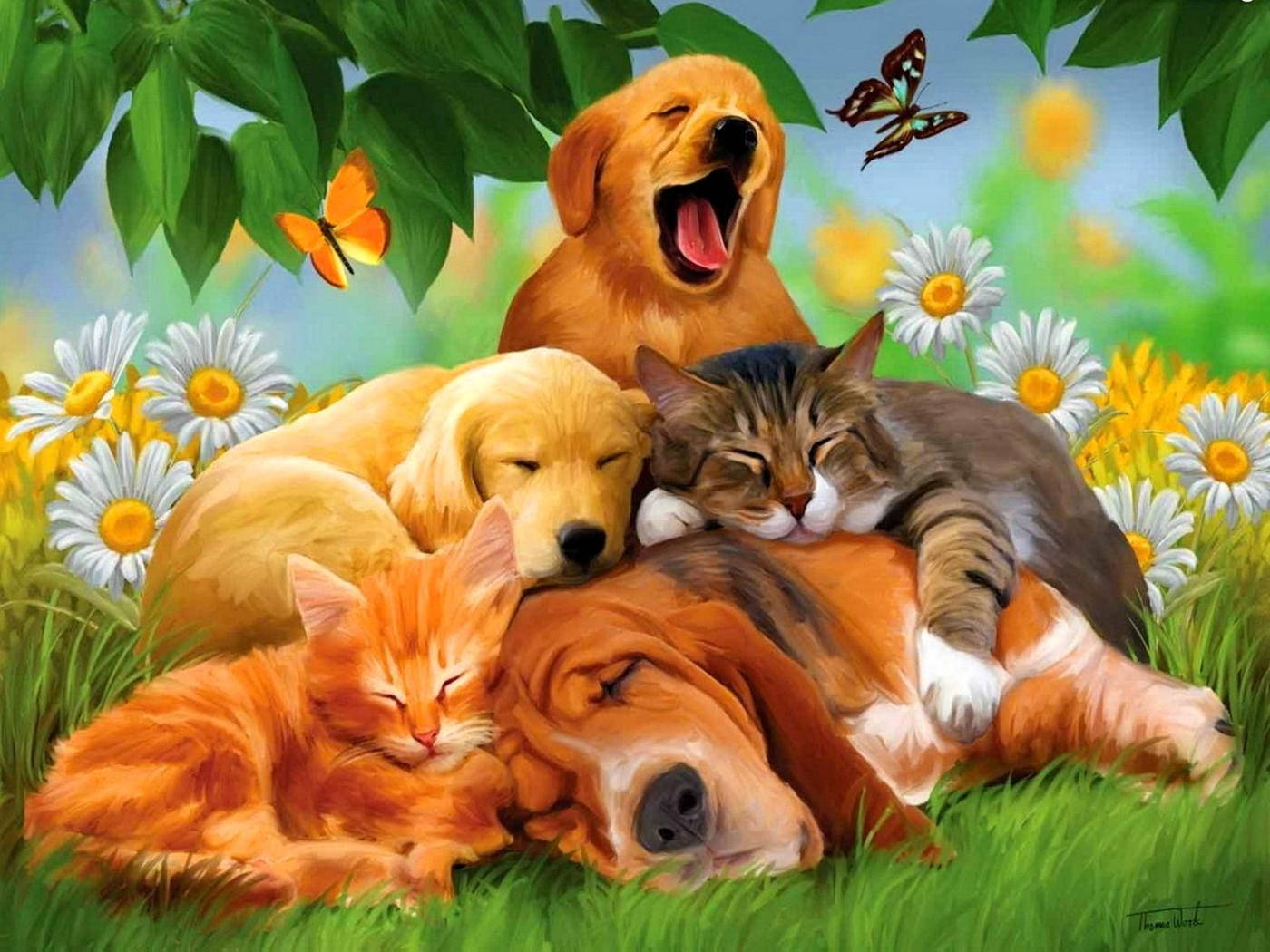 3d Cat And Dog Background