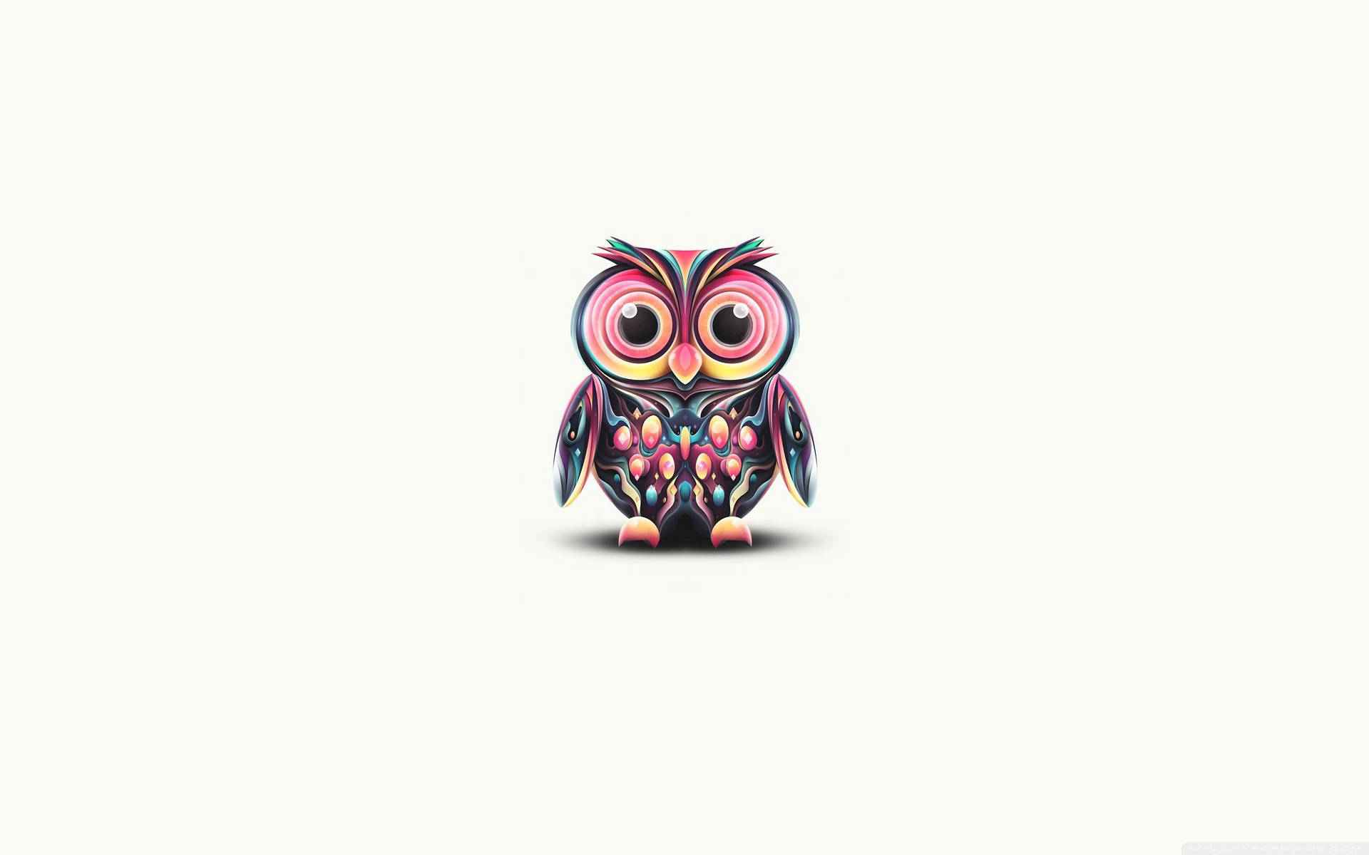 3d Cute Owl Background