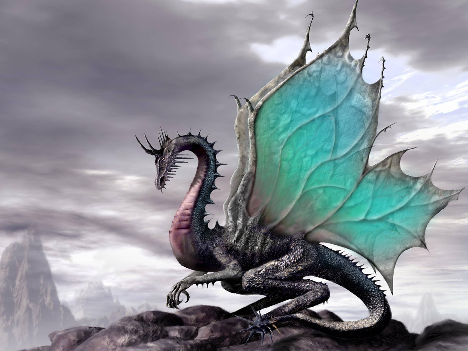 3d Fairy Dragon Illustration Background