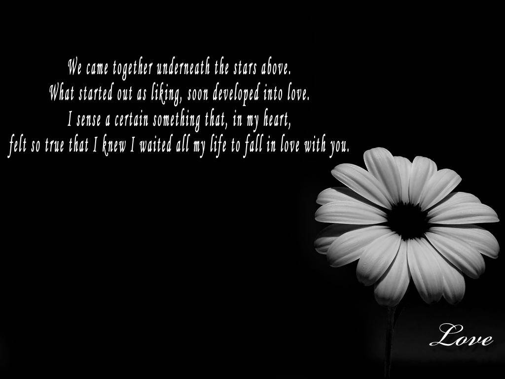 3d Flower With Text Black Lover Background