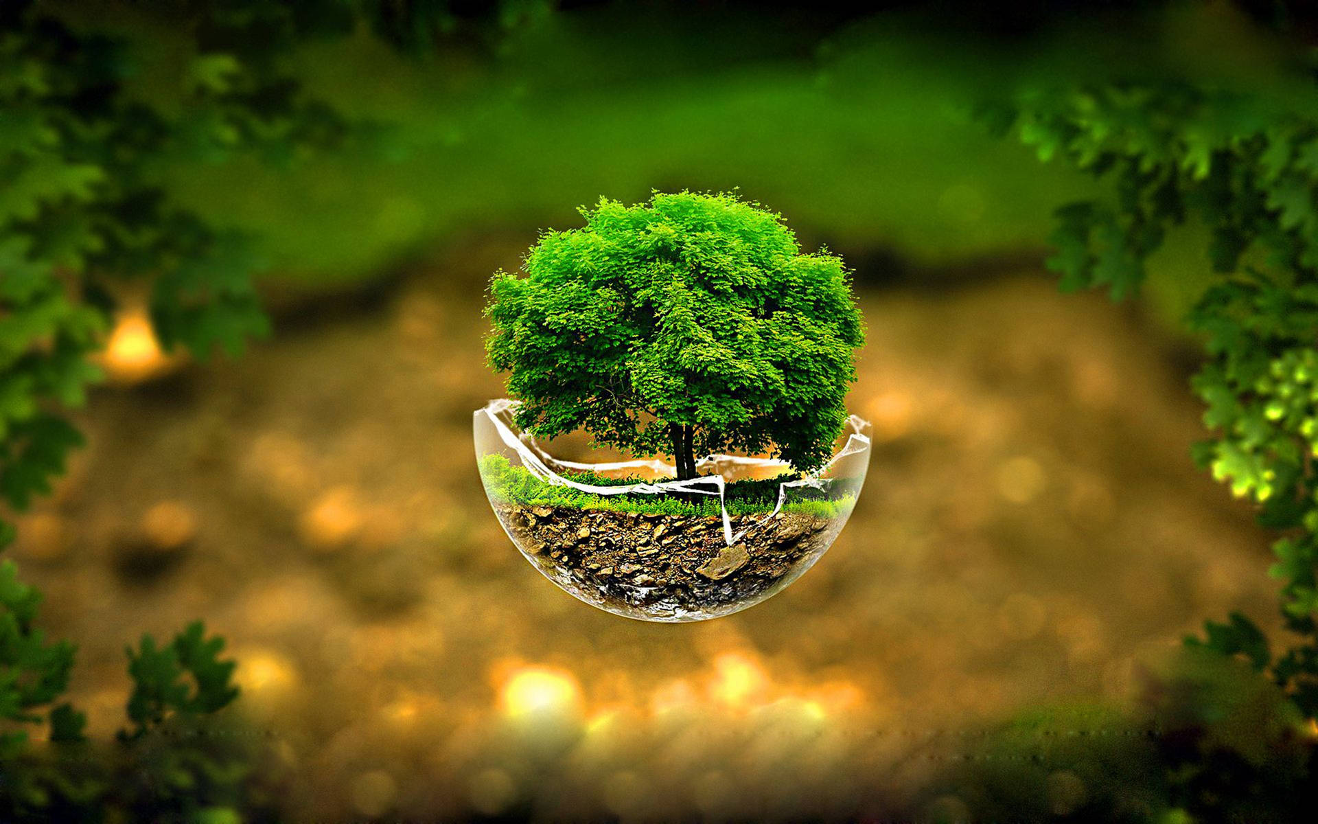 3d Hd Tree Cup Miniature Background