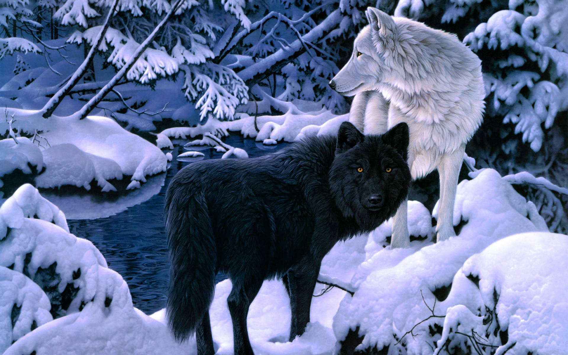 3d Hd Wolf Black And White Background