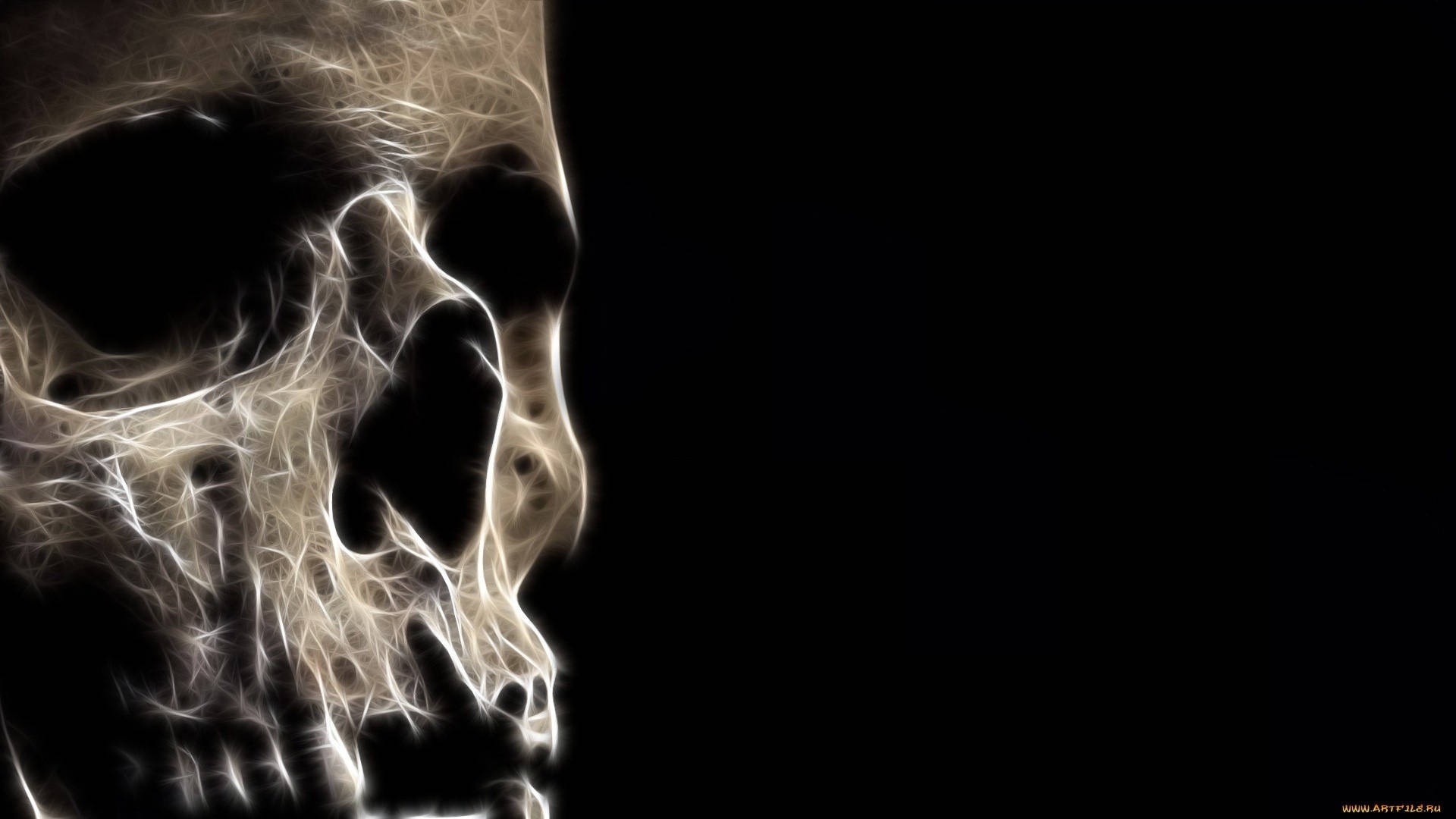 3d Horror Skull Background