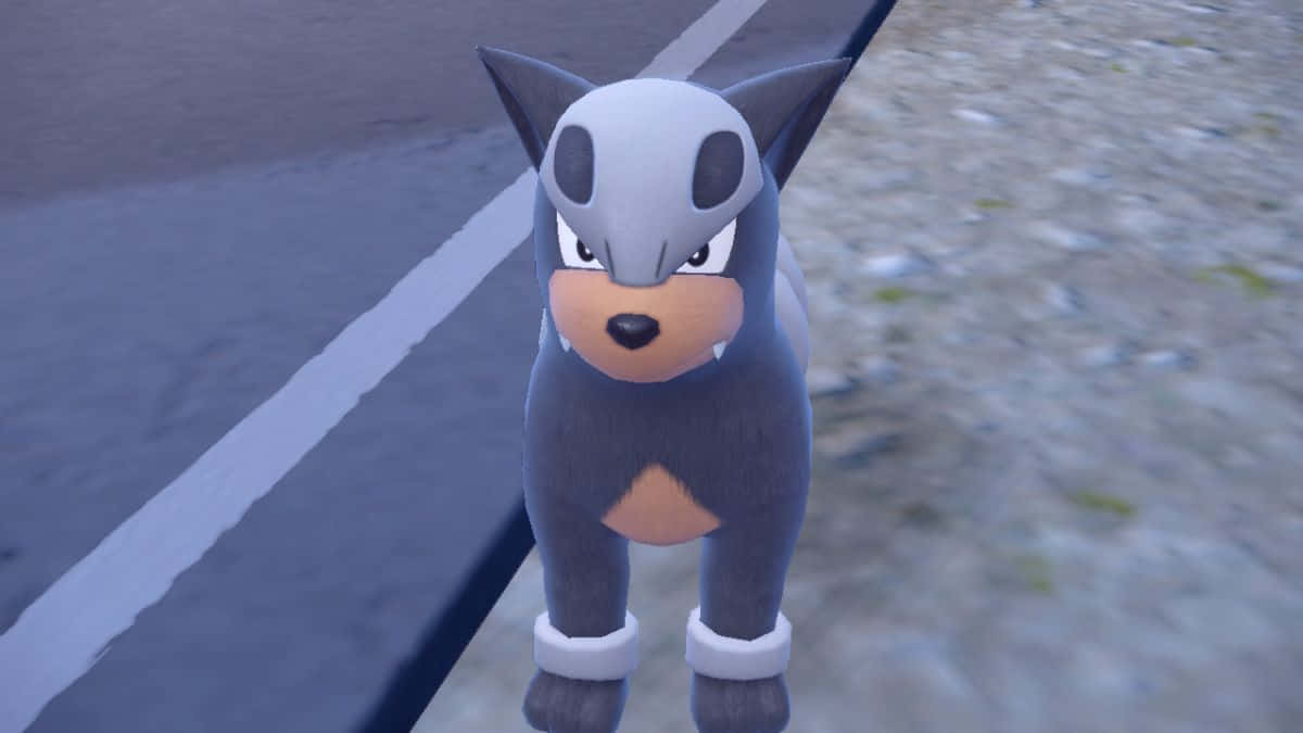 3d Houndour Pokemon Background