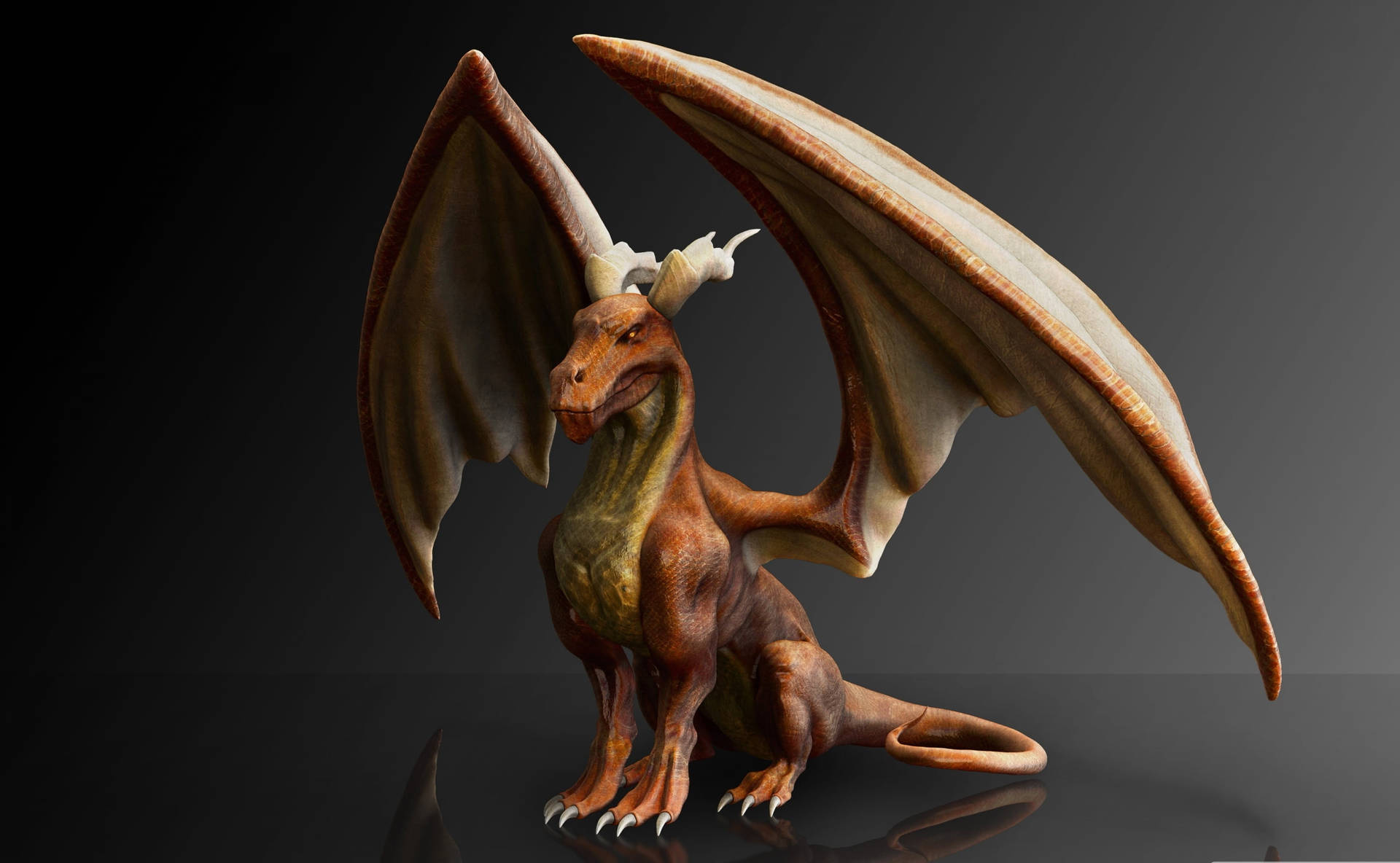 3d Illustration Of An Orange Dragon Background