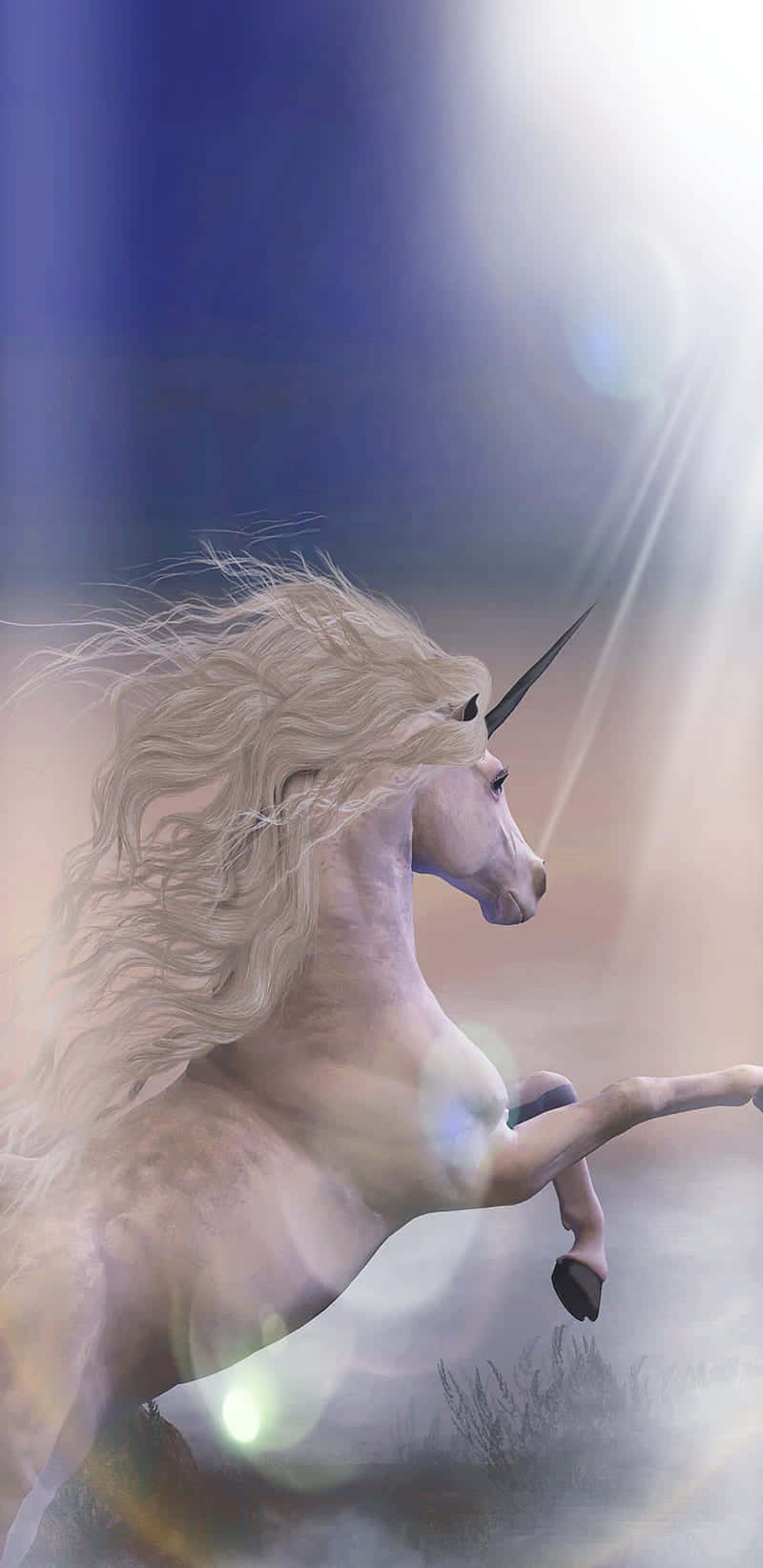 3d Magical Unicorn Neigh Background