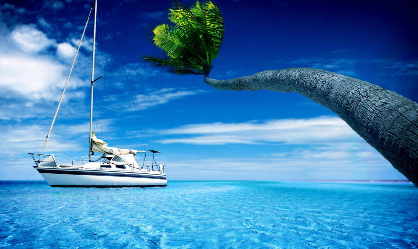 3d Nature Boat And Tree In Ocean Background