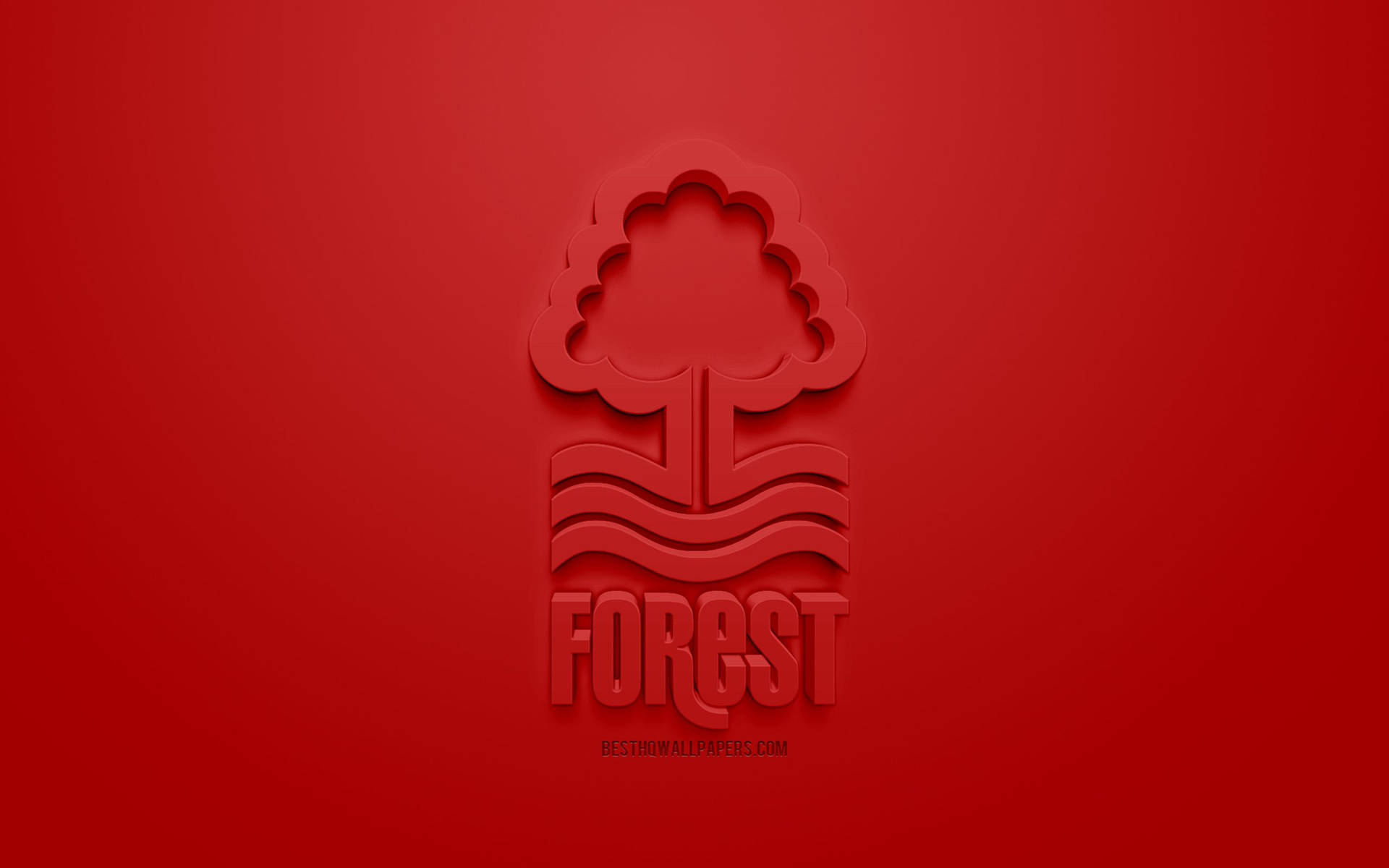 3d Nottingham Forest Fc Background