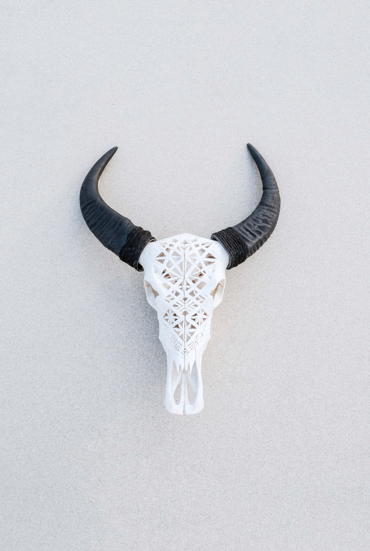 3d Printed Bull Skull Background