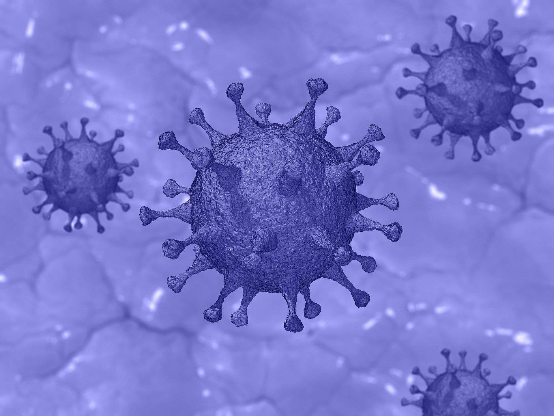 3d Representation Of Coronavirus In Purple Hue Background