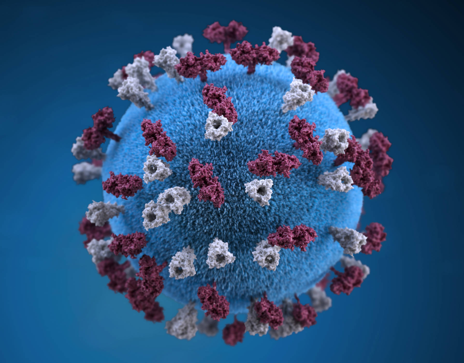 3d Virus Image Background