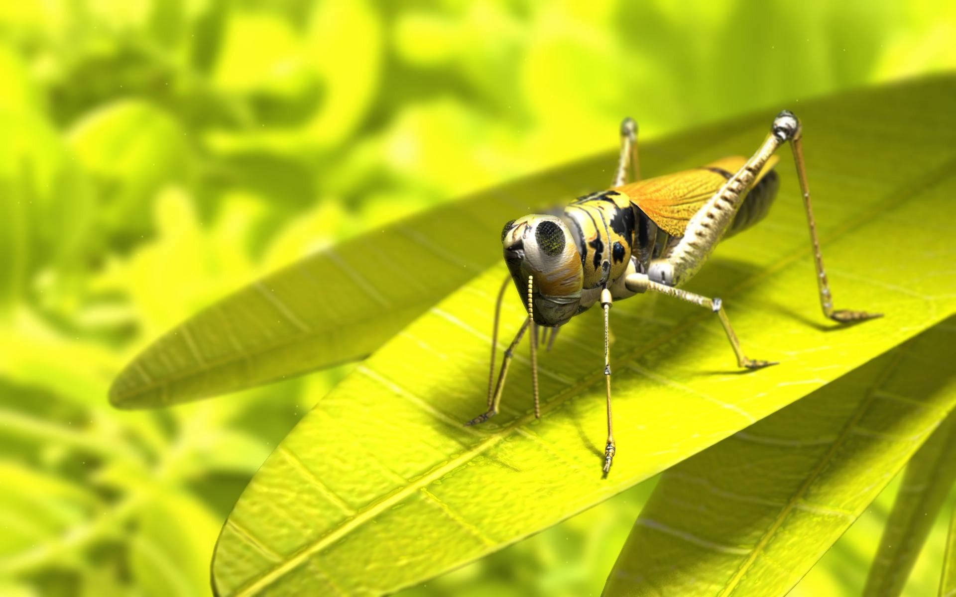 3d Yellow Grasshopper Background