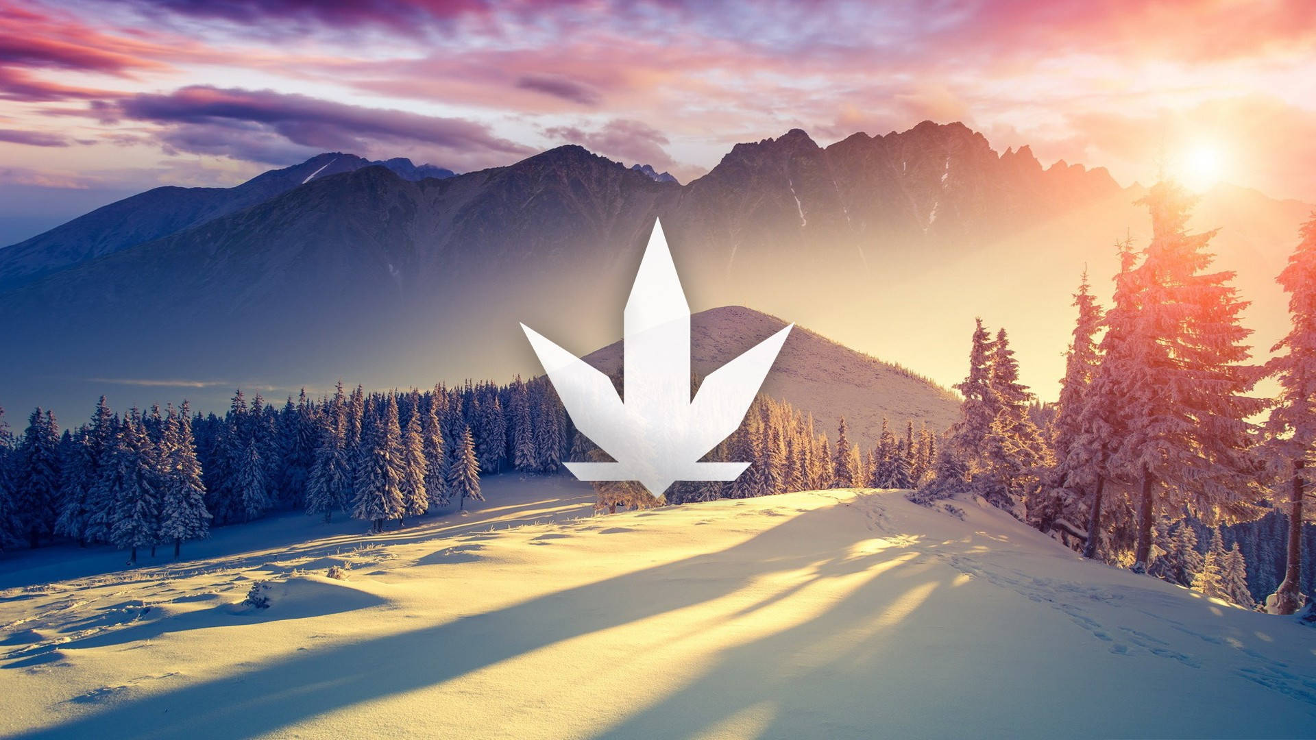 420 Weed On Snowy Landscape