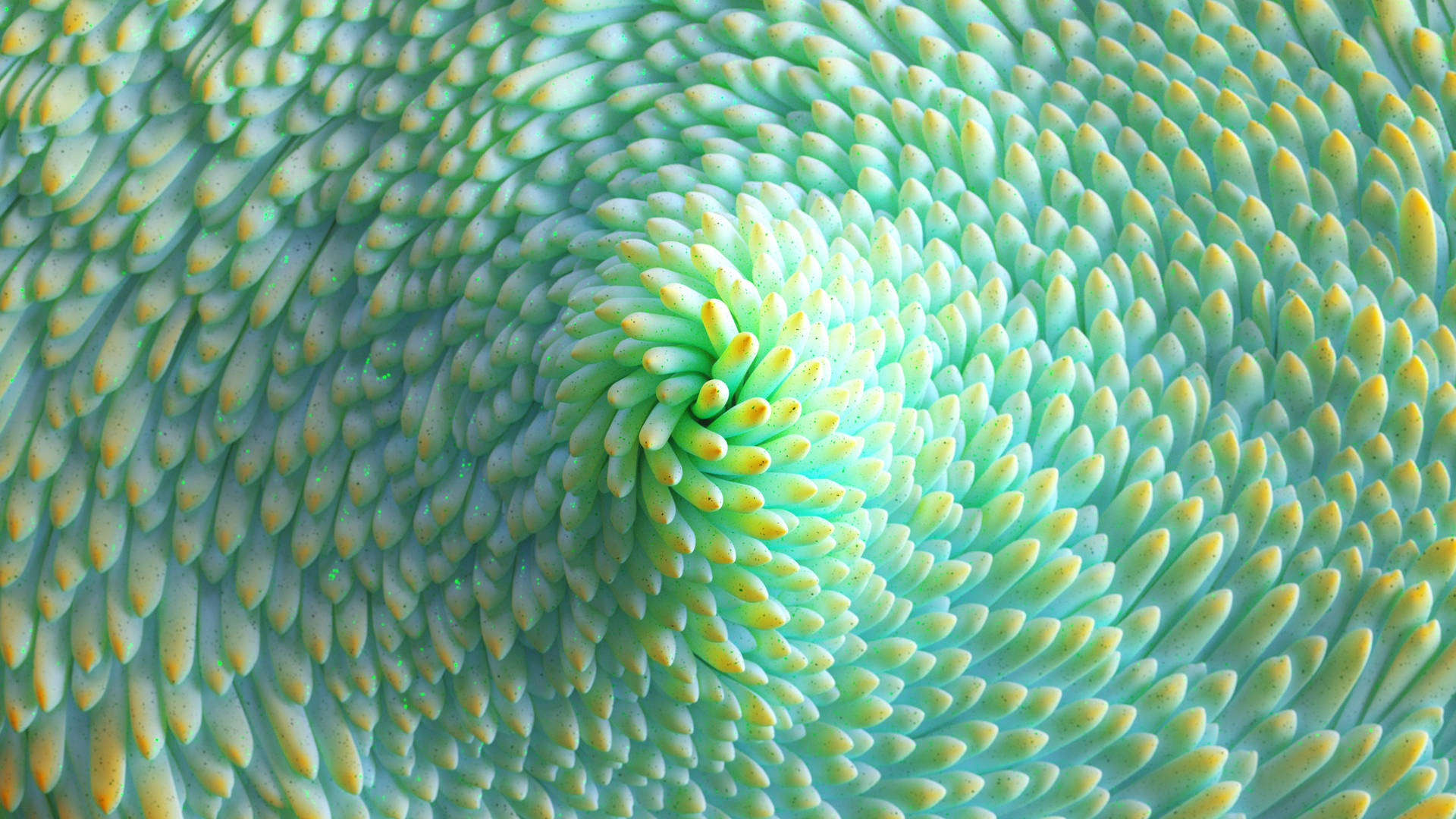 4d Ultra Hd Close-up Of Green Succulent Background