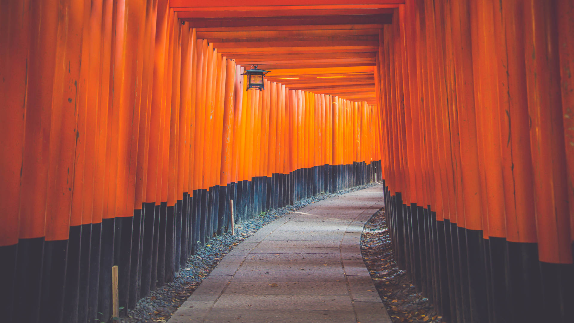 4k Architecture Fushimi Inari Shrine Gateways Background