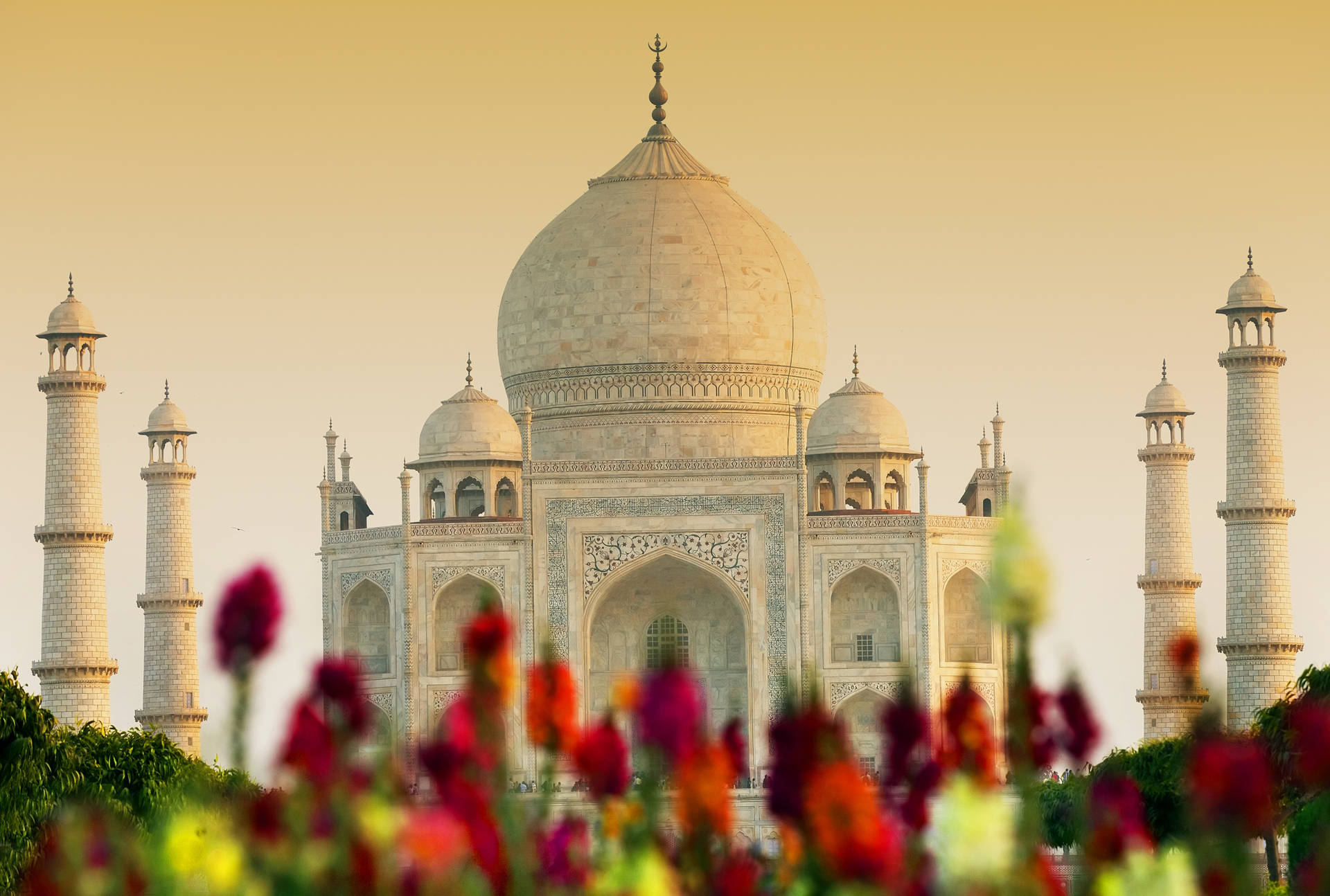 4k Architecture Taj Mahal With Flowers Background