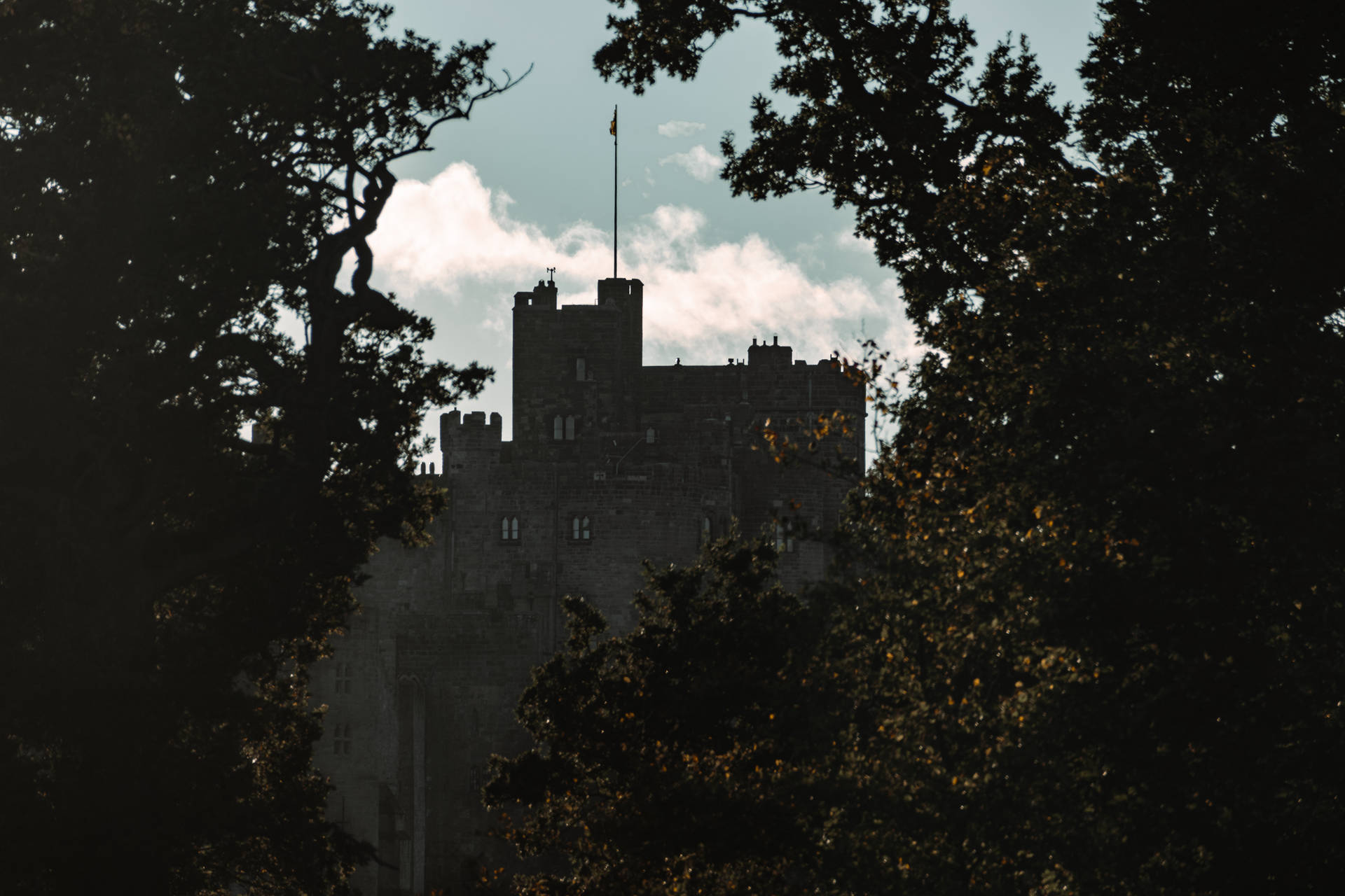 4k Autumn Alnwick Castle Background