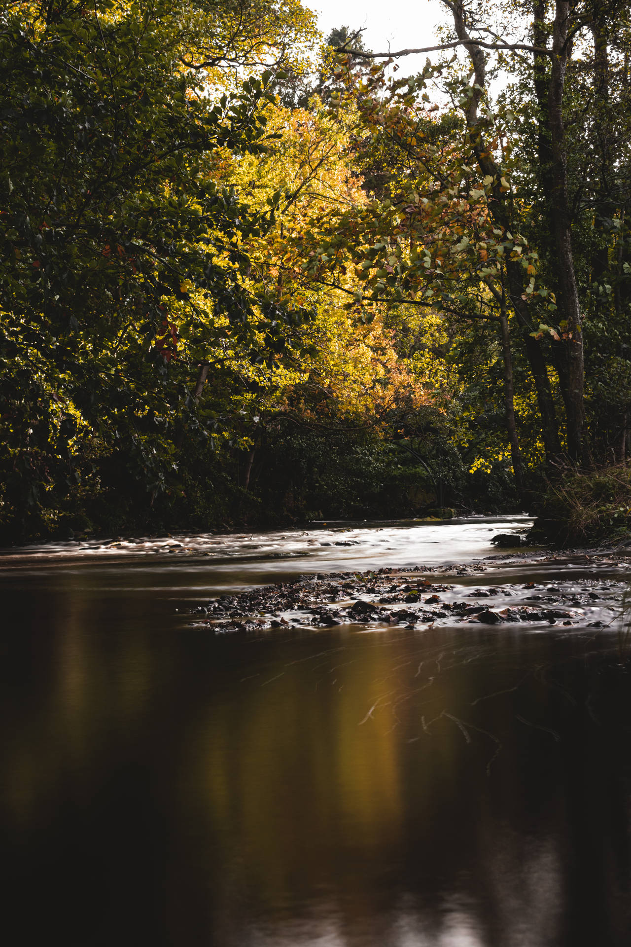4k Autumn At River Background