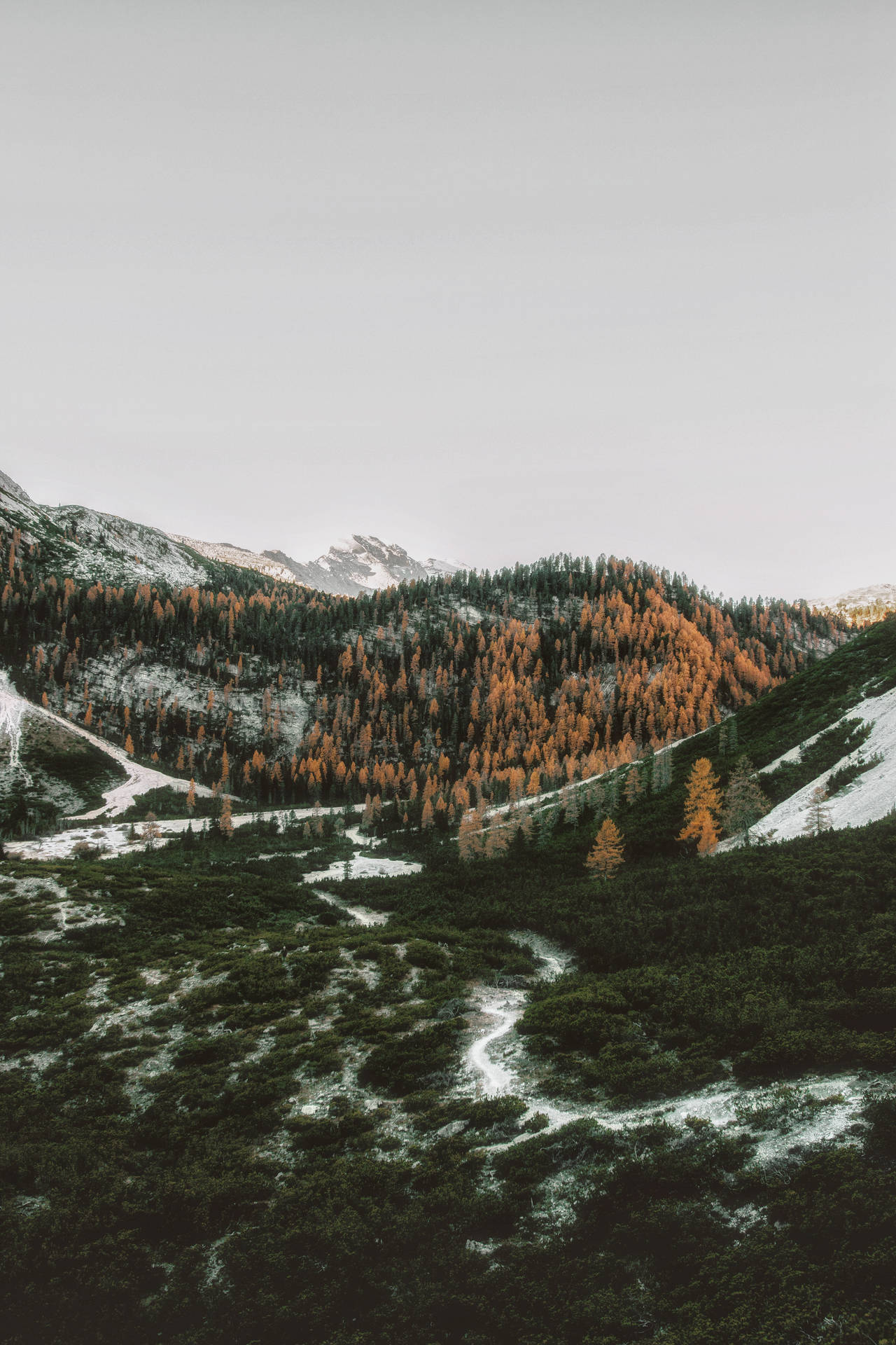 4k Autumn In Dolomites Background