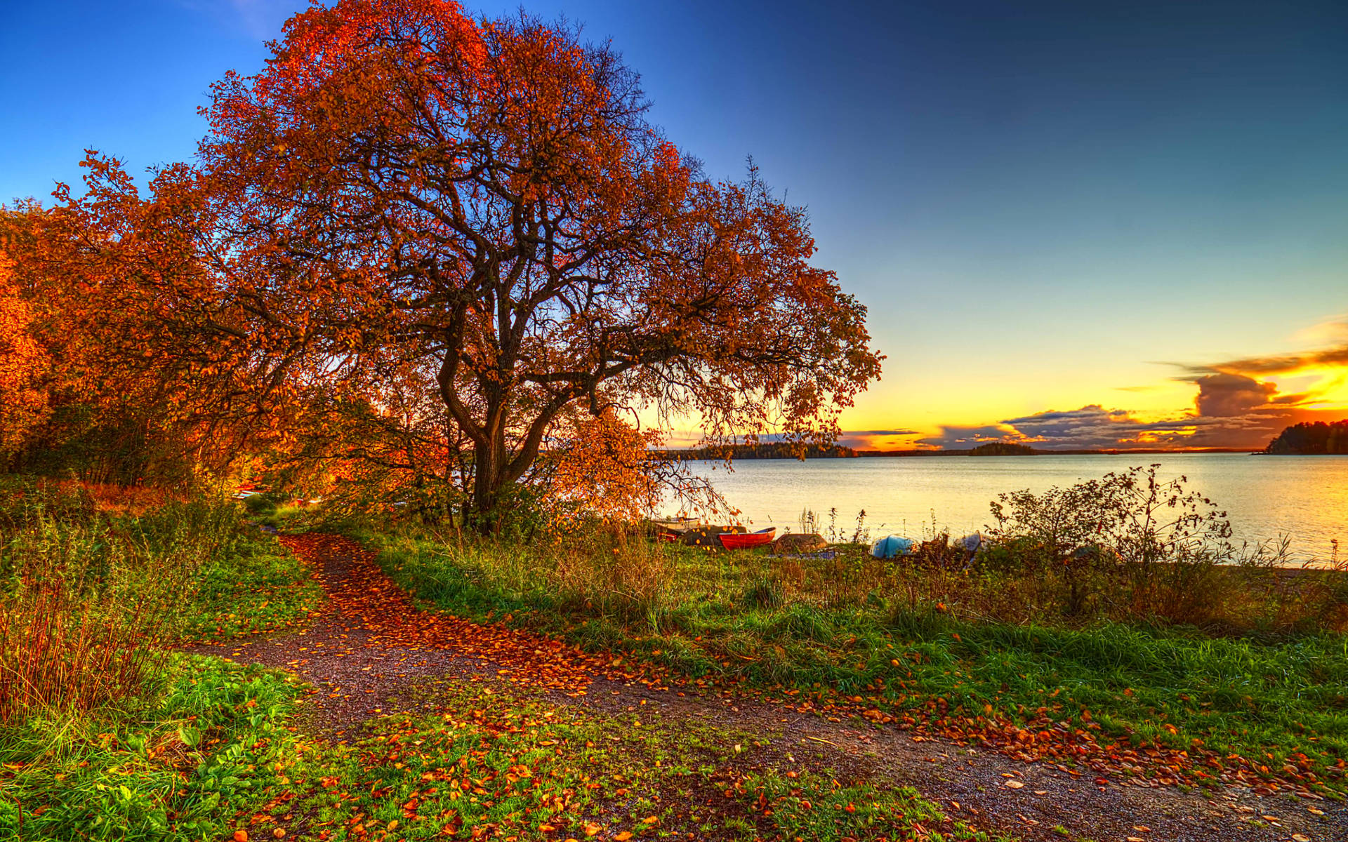 4k Autumn Nature Landscape Background