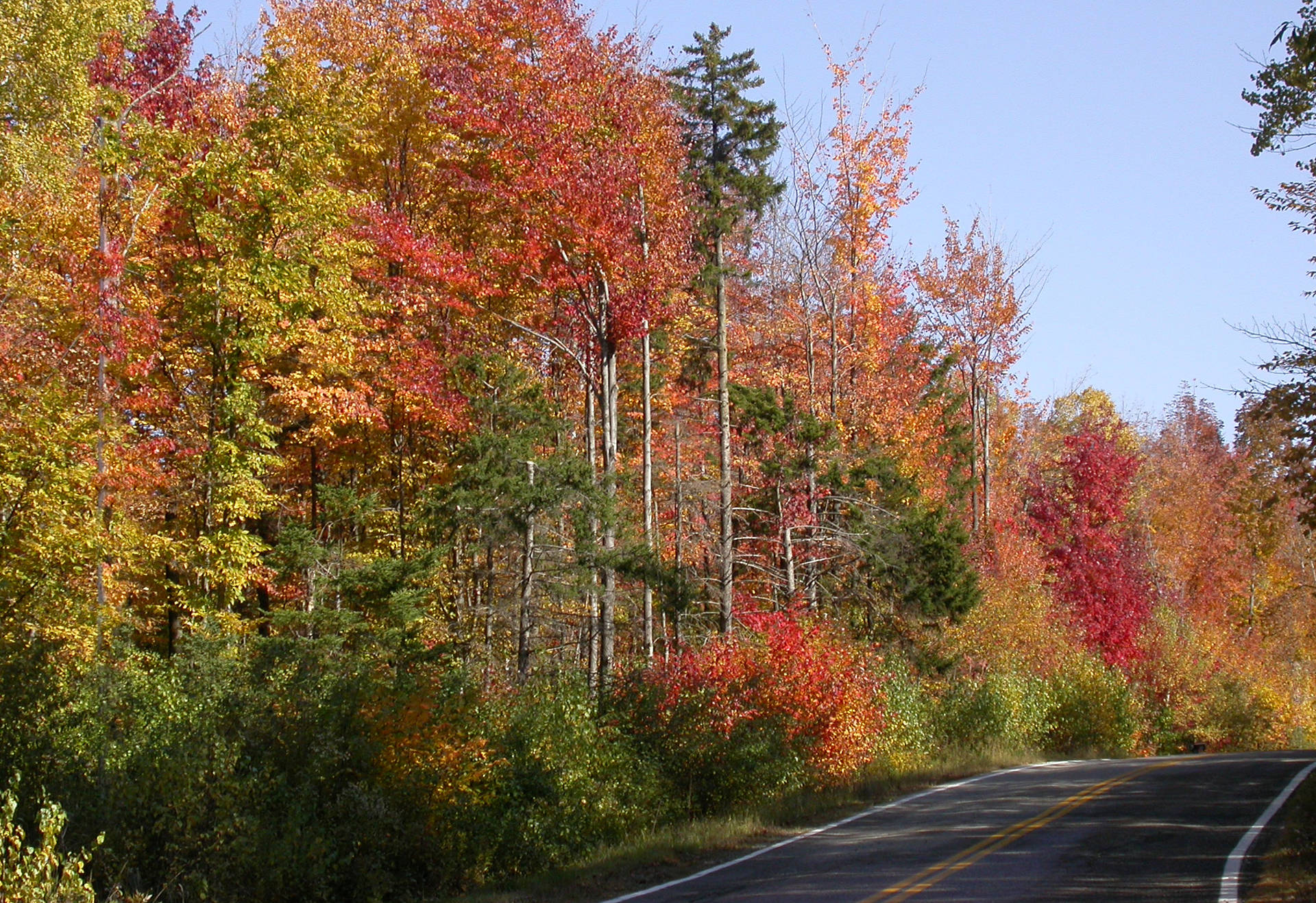 4k Autumn New Hampshire Highway Background