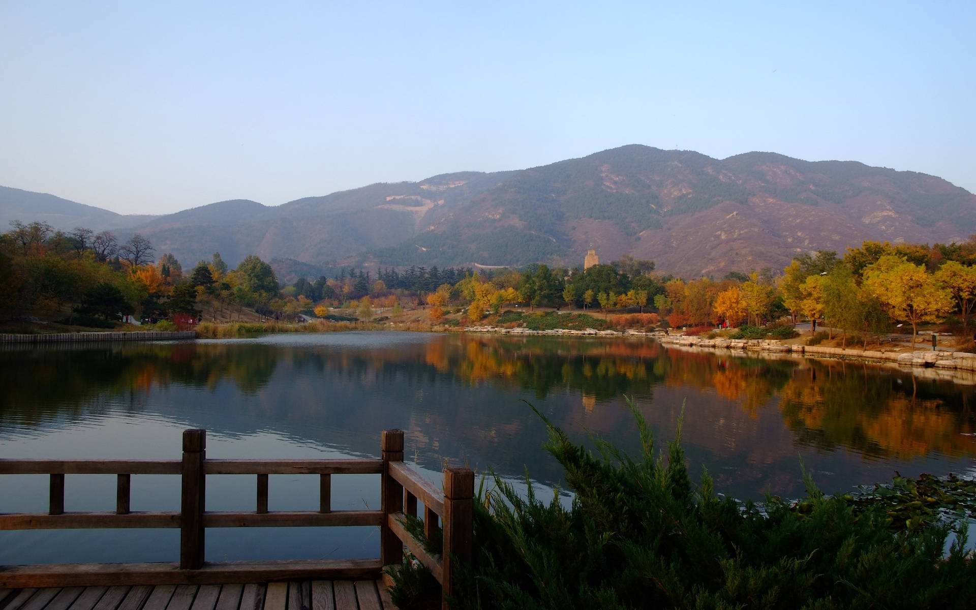4k Autumn Xiangshan Botanical Garden Background
